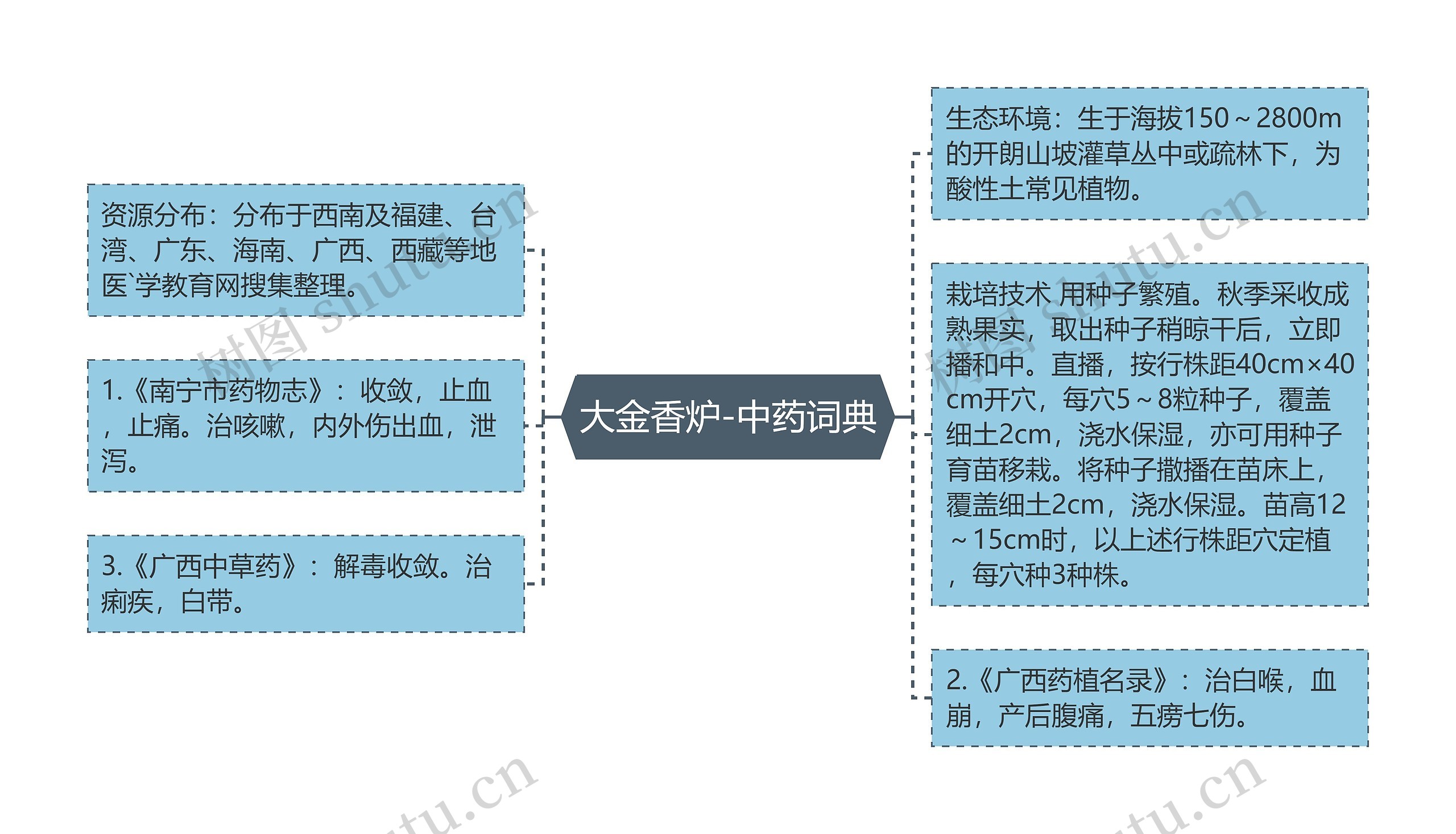 大金香炉-中药词典思维导图