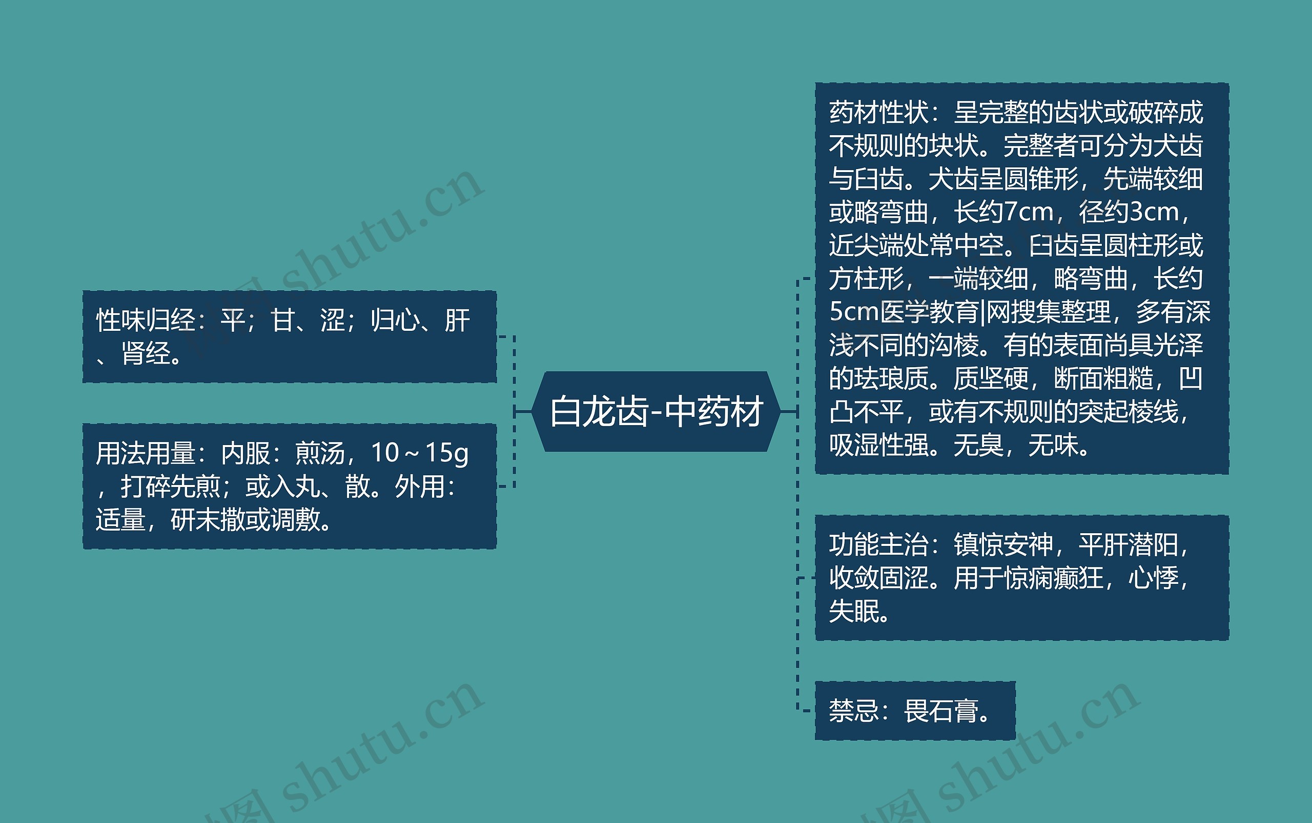 白龙齿-中药材思维导图