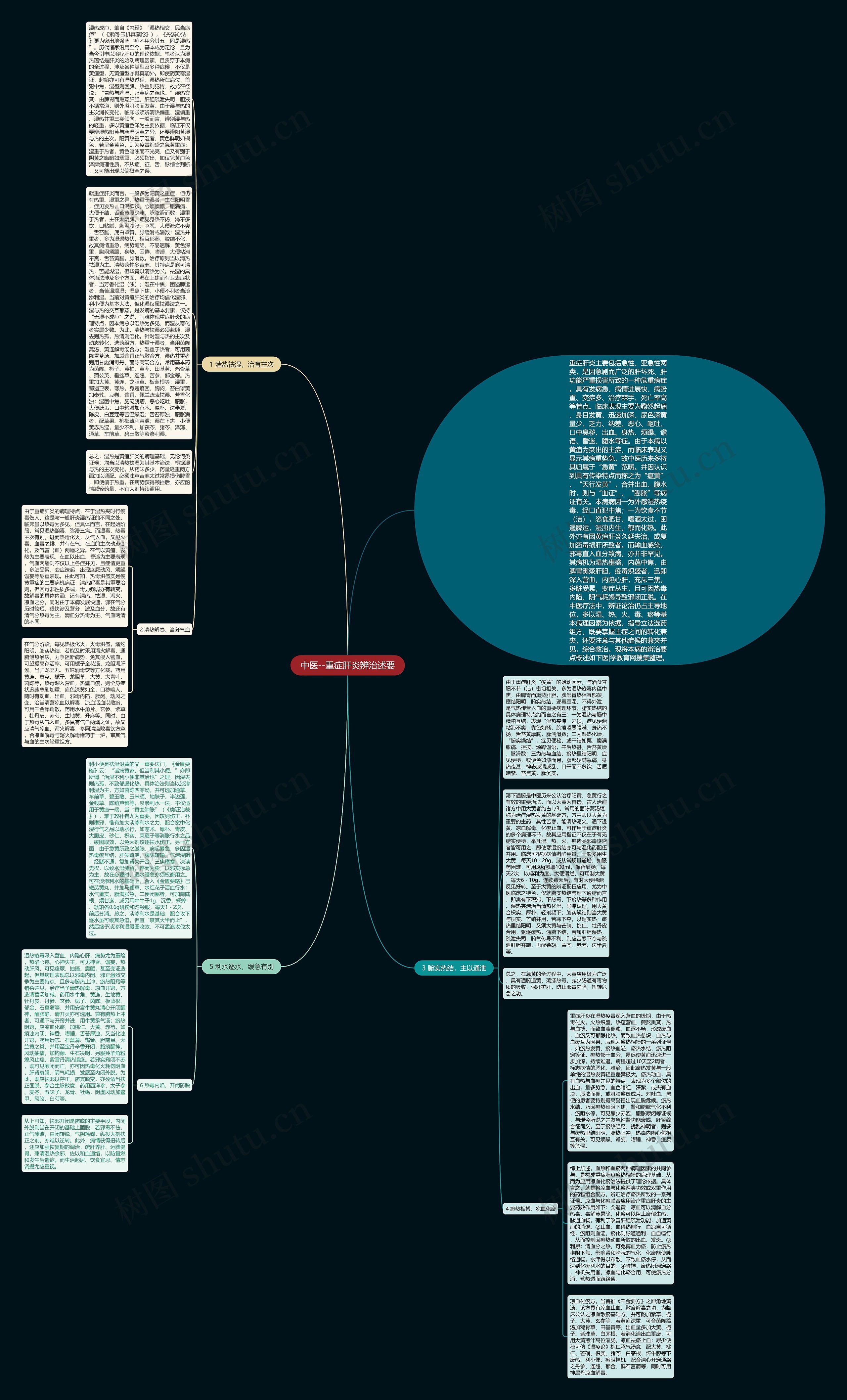 中医--重症肝炎辨治述要思维导图