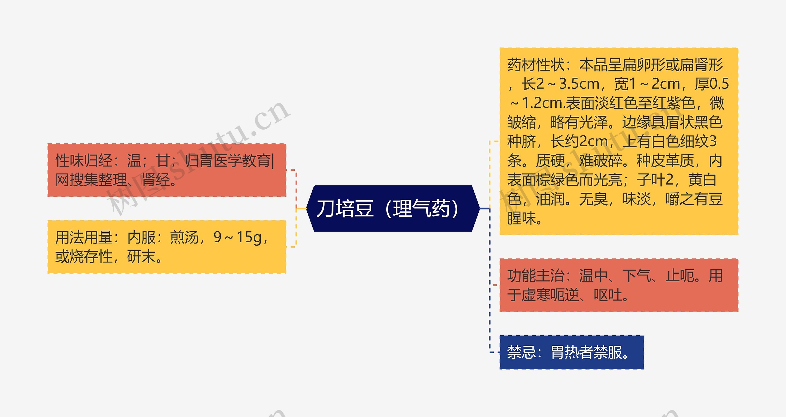 刀培豆（理气药）思维导图