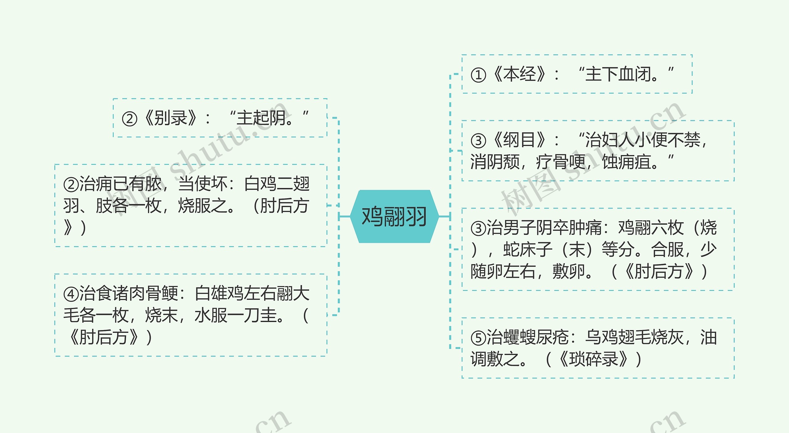 鸡翮羽思维导图