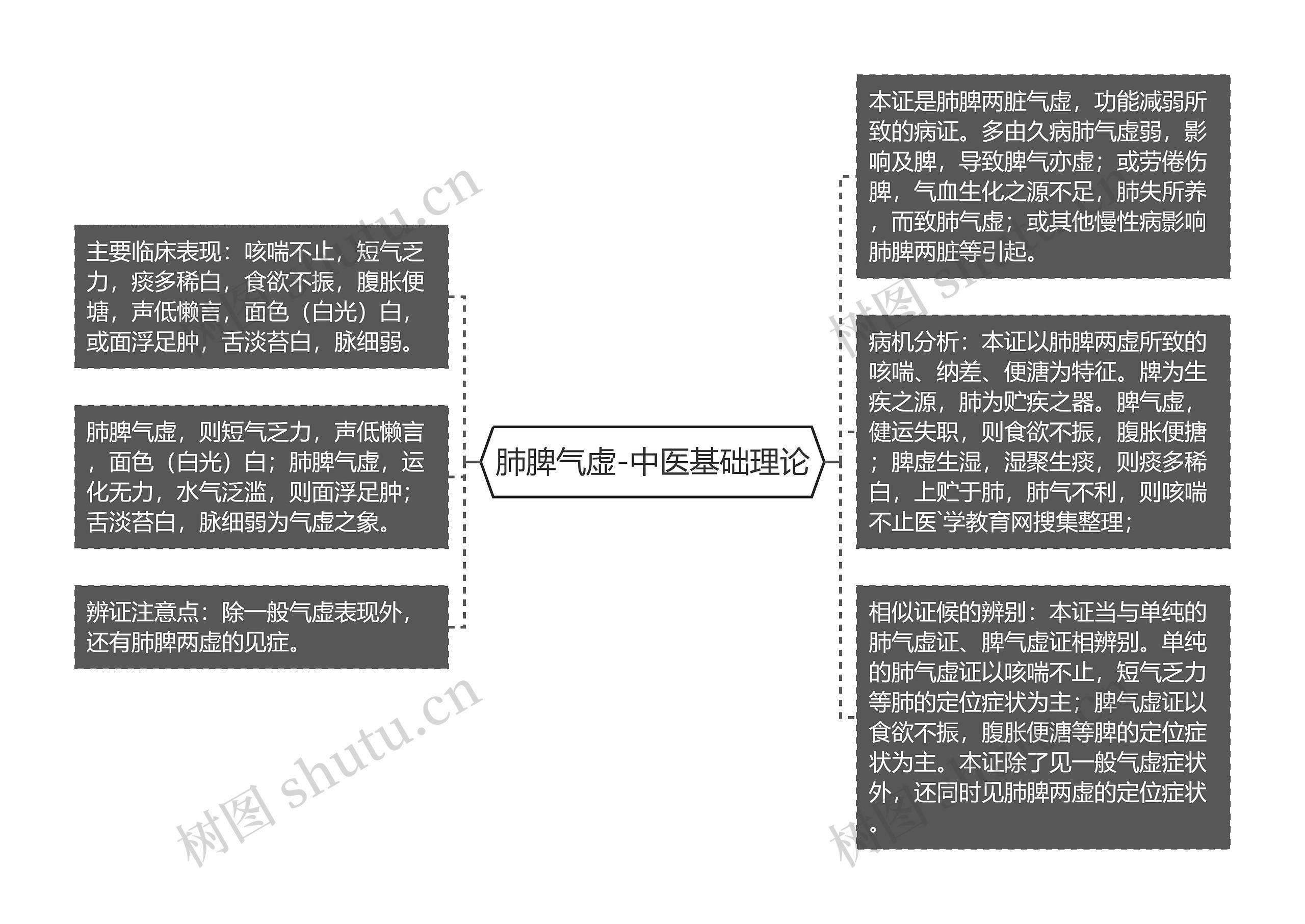 肺脾气虚-中医基础理论