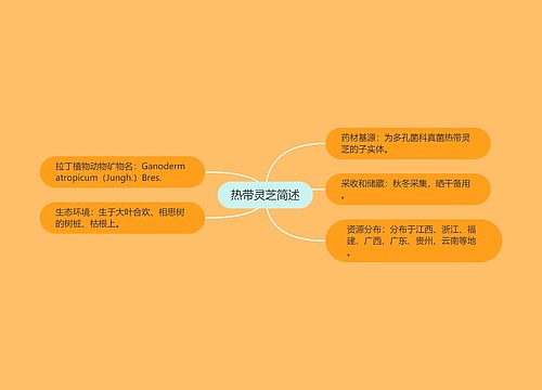 热带灵芝简述