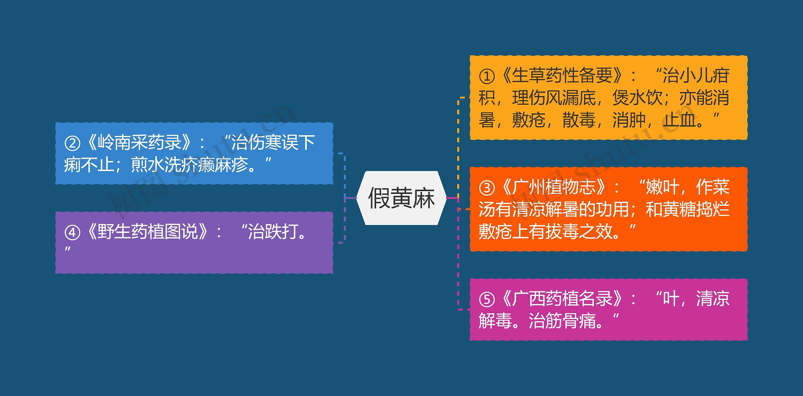 假黄麻思维导图高清图 假黄麻思维导图