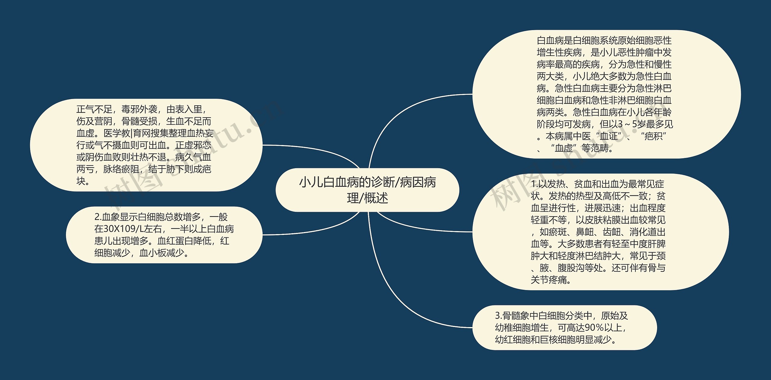 小儿白血病的诊断/病因病理/概述思维导图