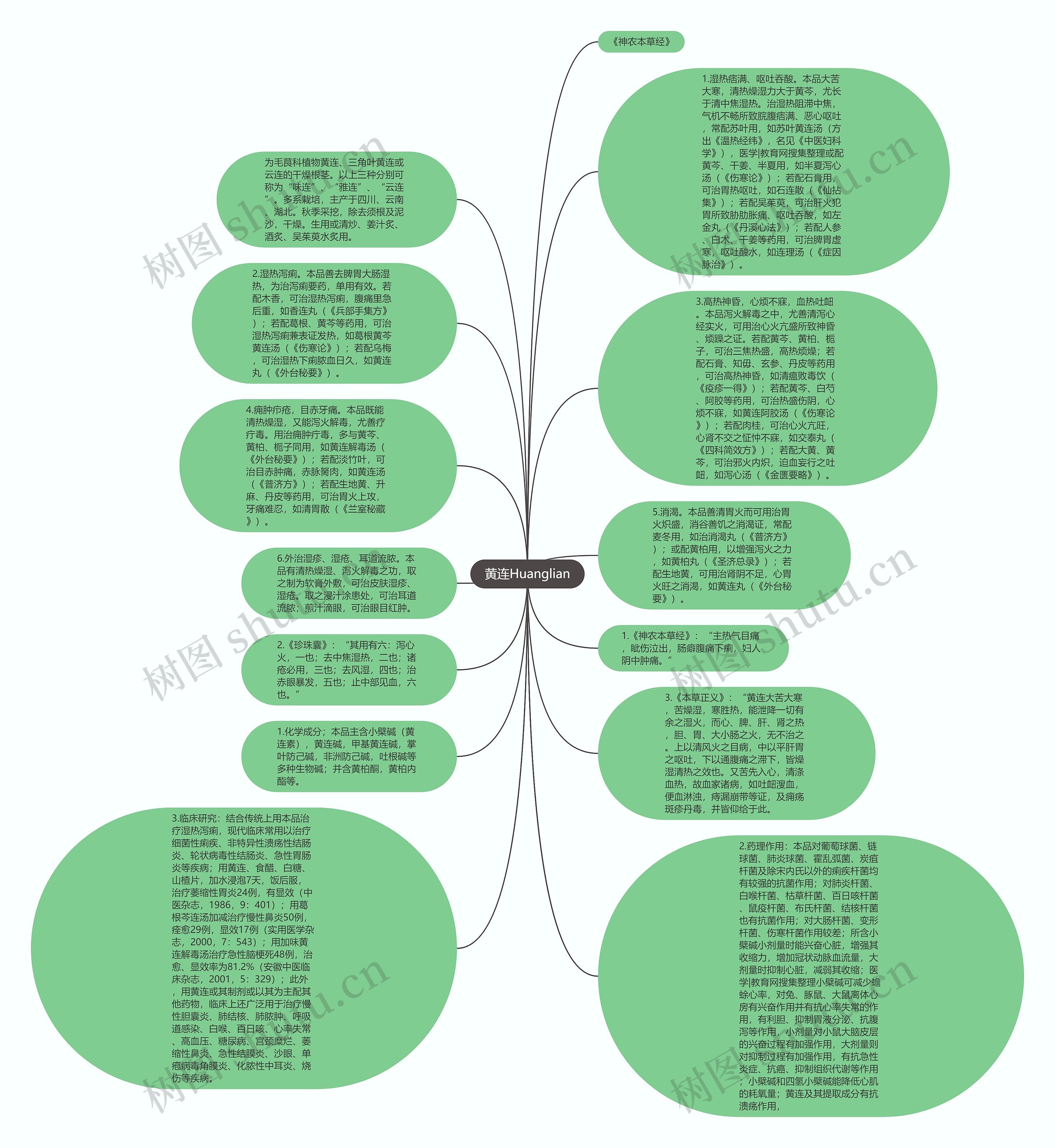 黄连Huanglian思维导图