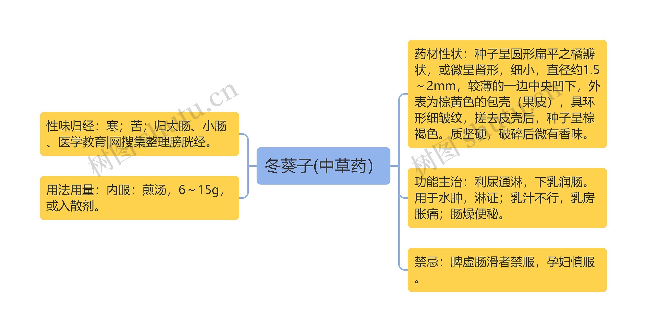 冬葵子(中草药）思维导图