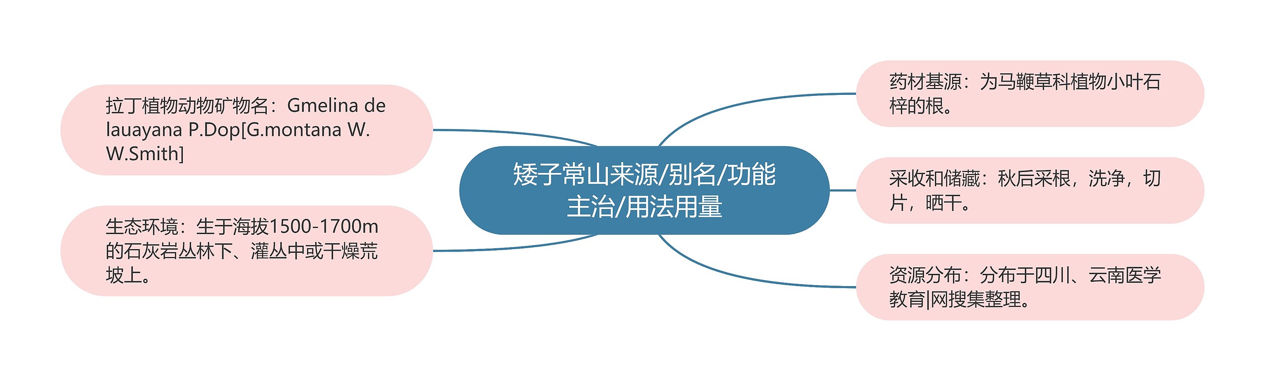 矮子常山来源/别名/功能主治/用法用量 矮子常山来源/别名/功能主治/用法用量