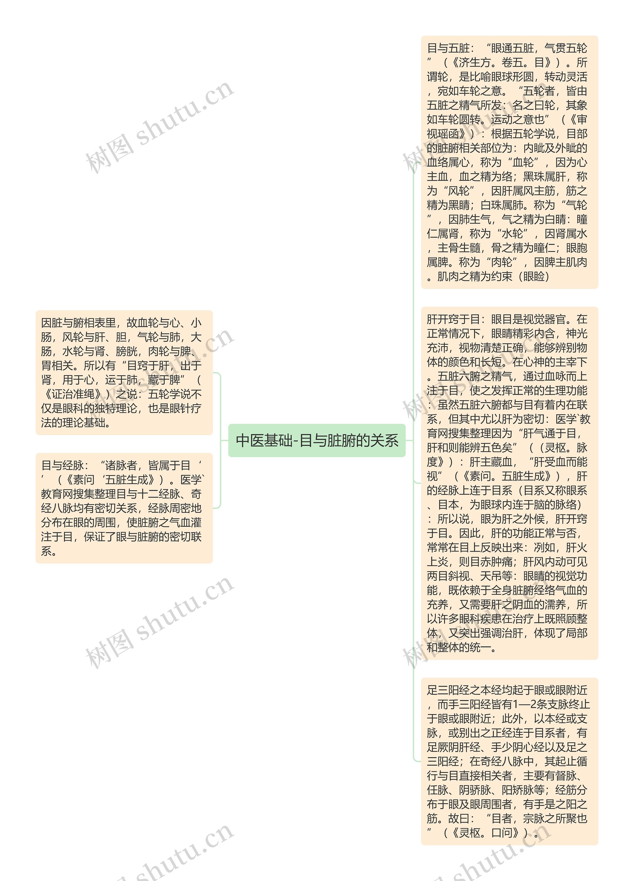 中医基础-目与脏腑的关系思维导图