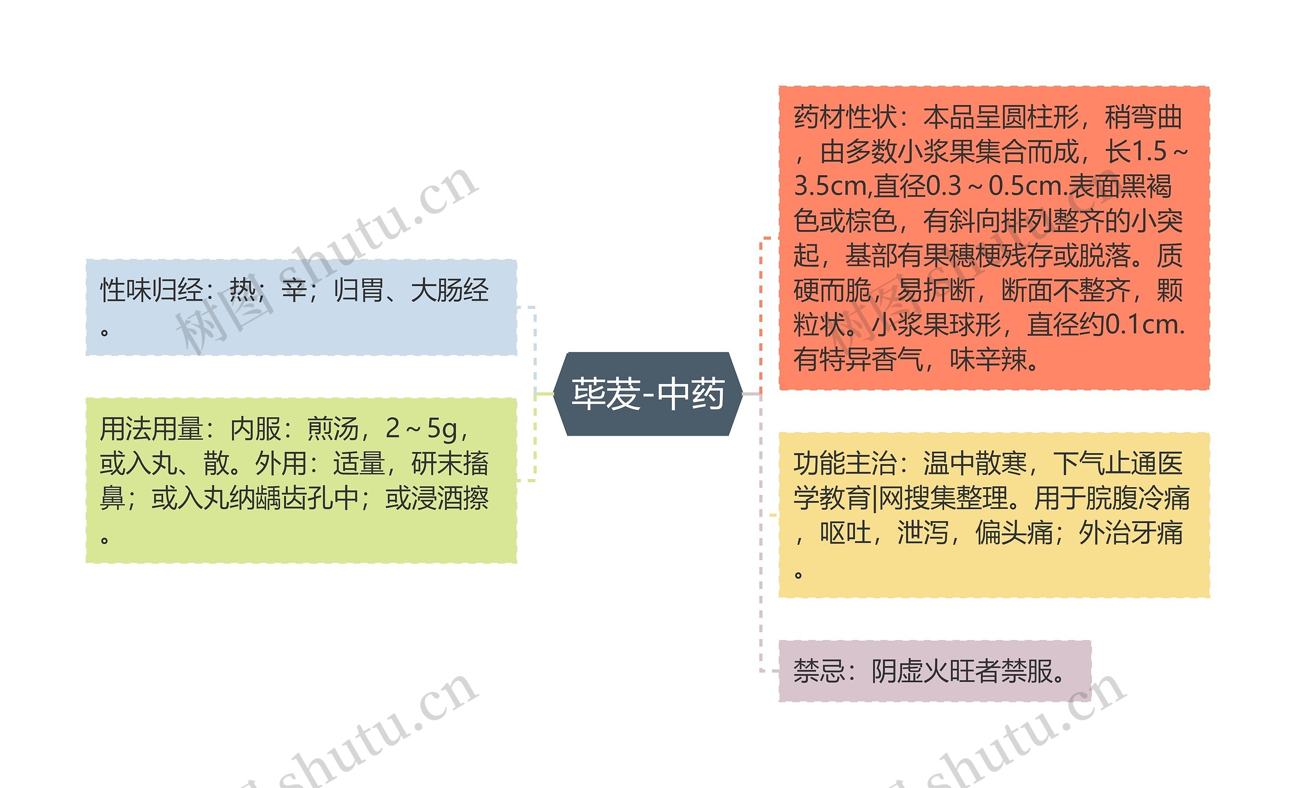 荜茇-中药 荜茇-中药