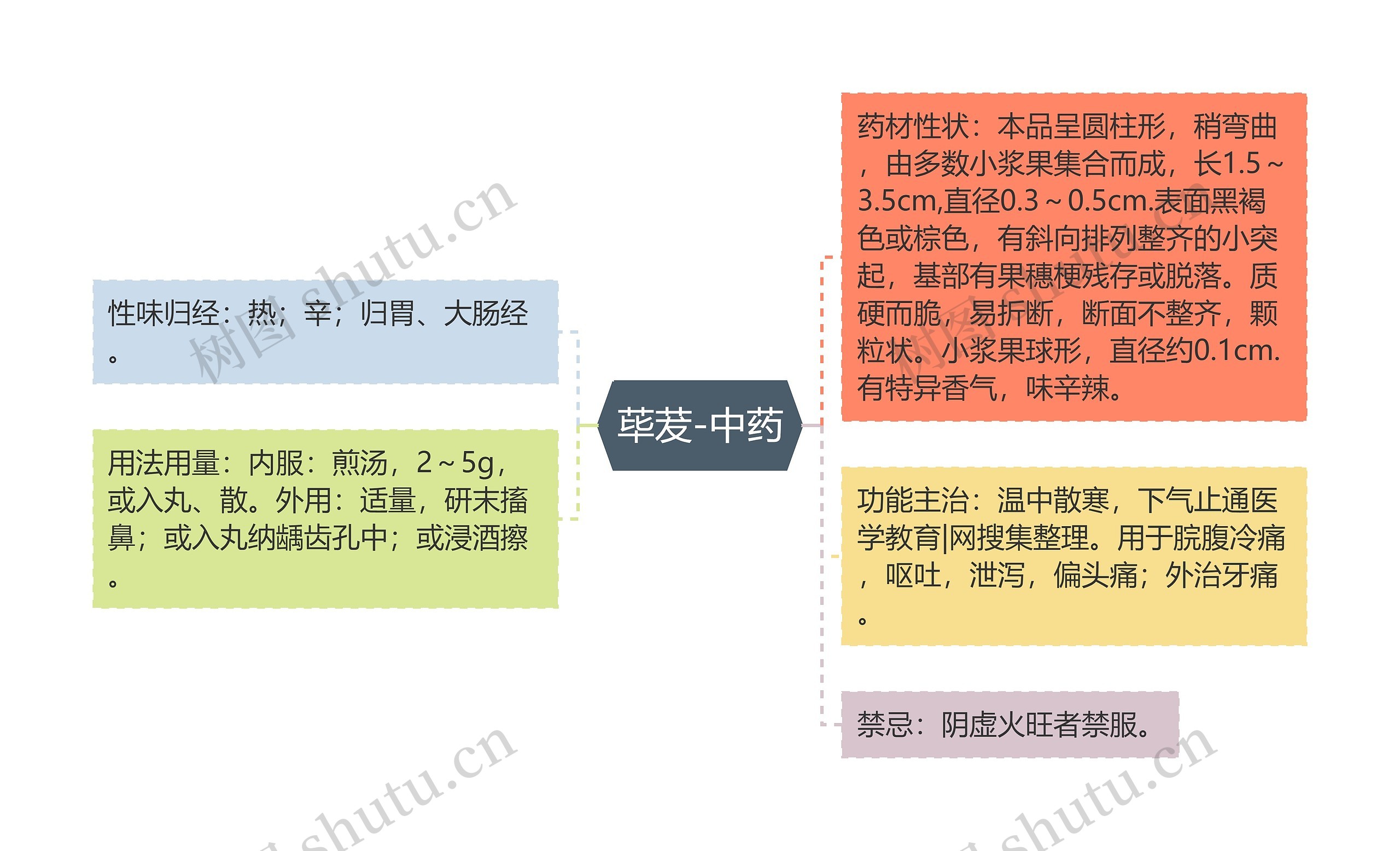 荜茇-中药思维导图