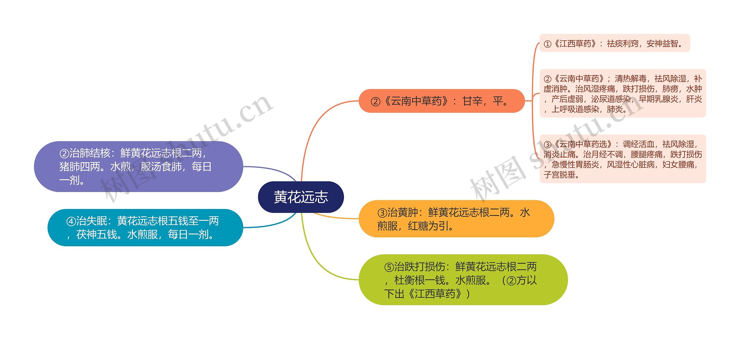 黄花远志思维导图