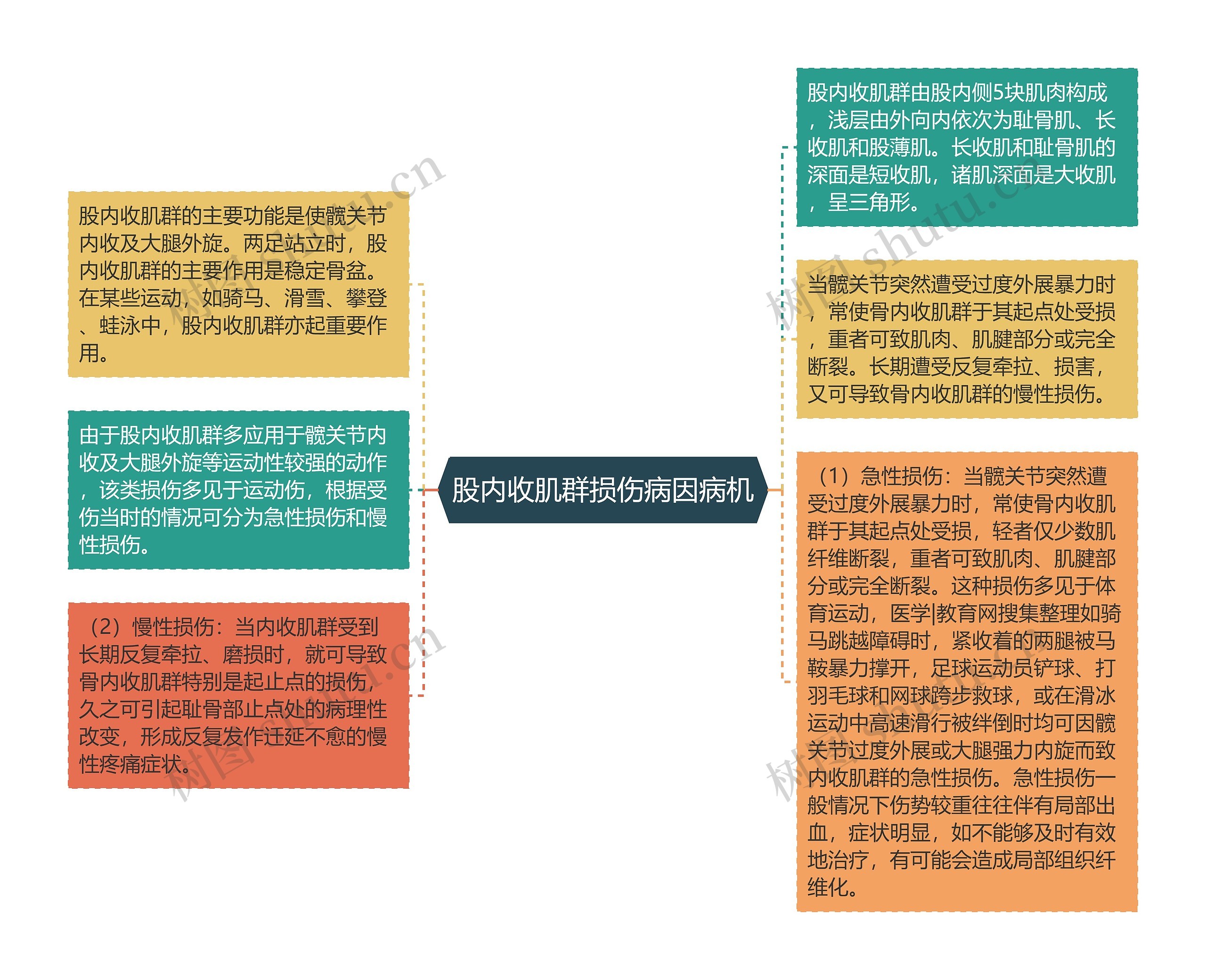 股内收肌群损伤病因病机