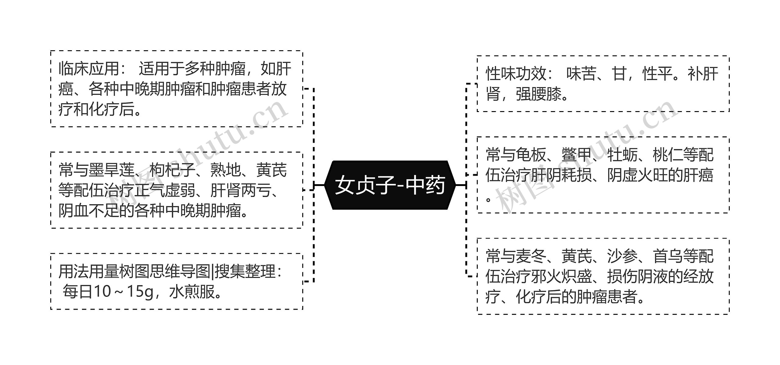 女贞子-中药思维导图