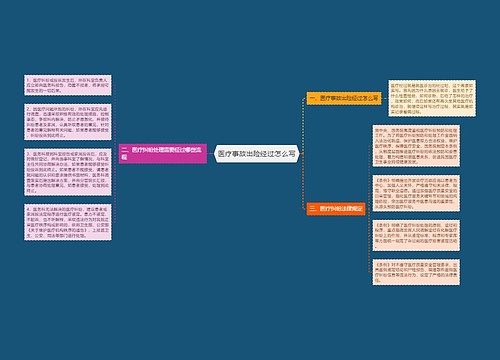 医疗事故出险经过怎么写