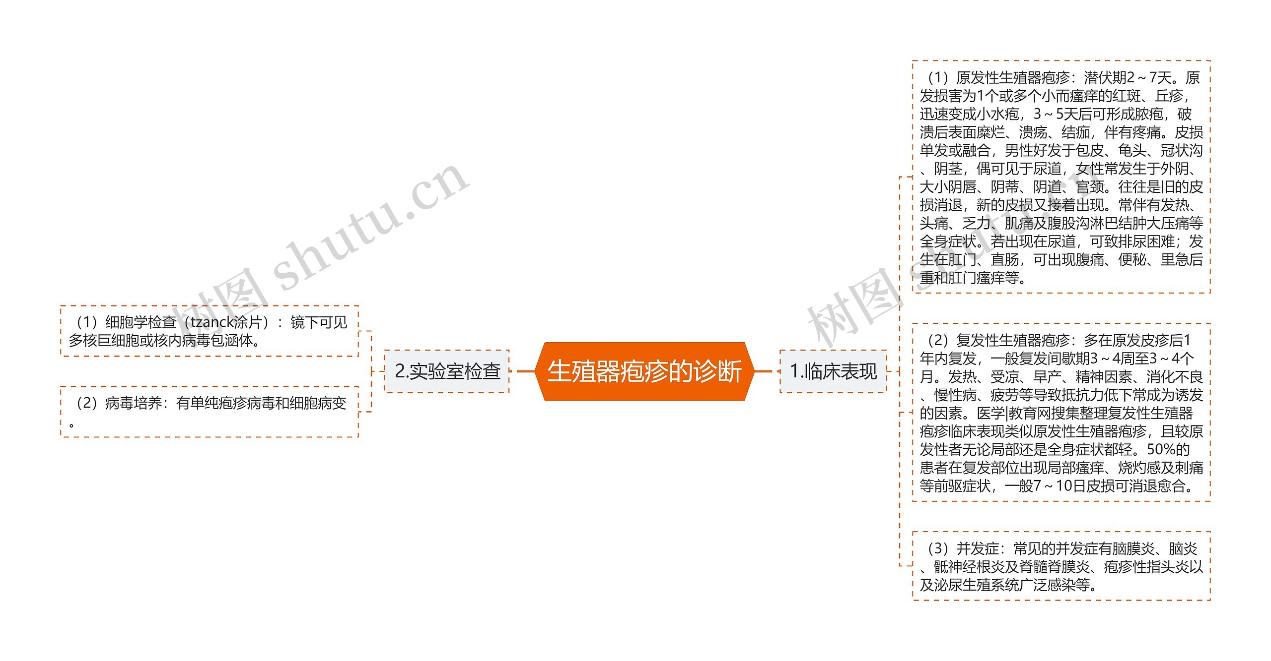 生殖器疱疹的诊断