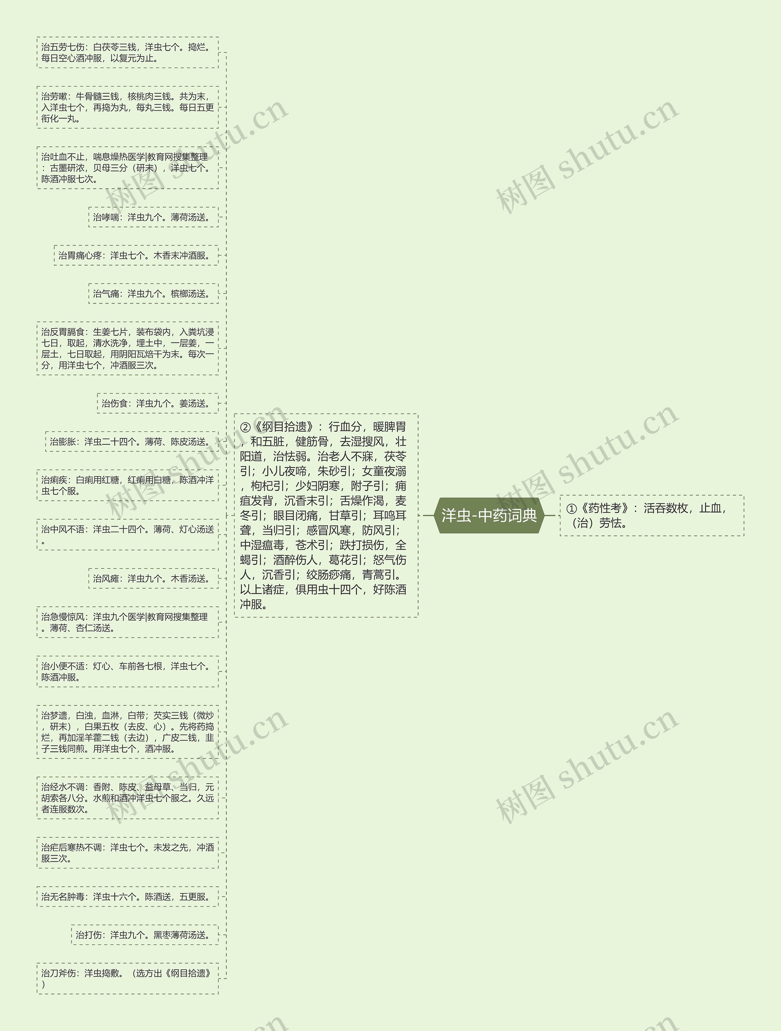 洋虫-中药词典思维导图
