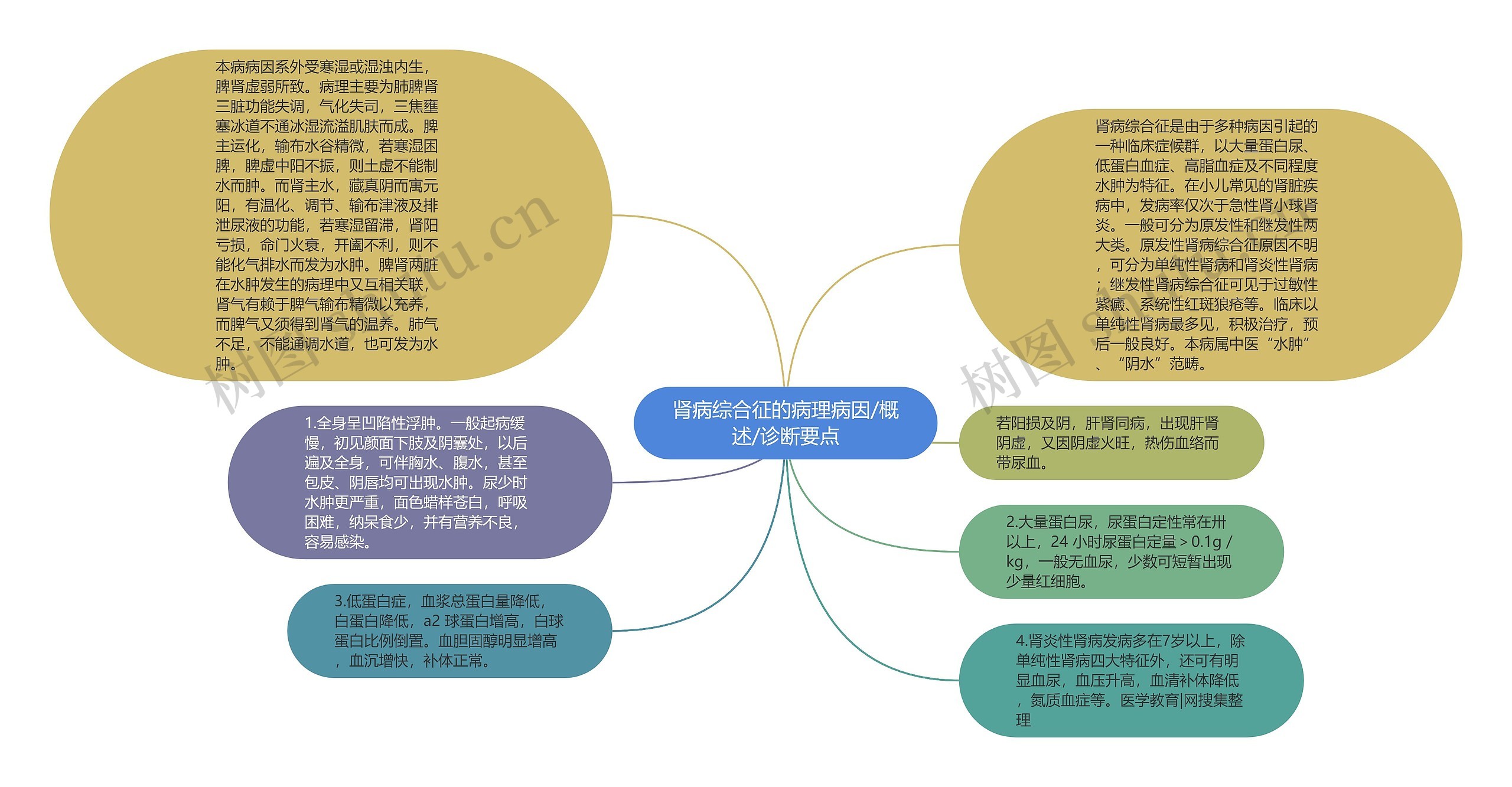 肾病综合征的病理病因/概述/诊断要点思维导图