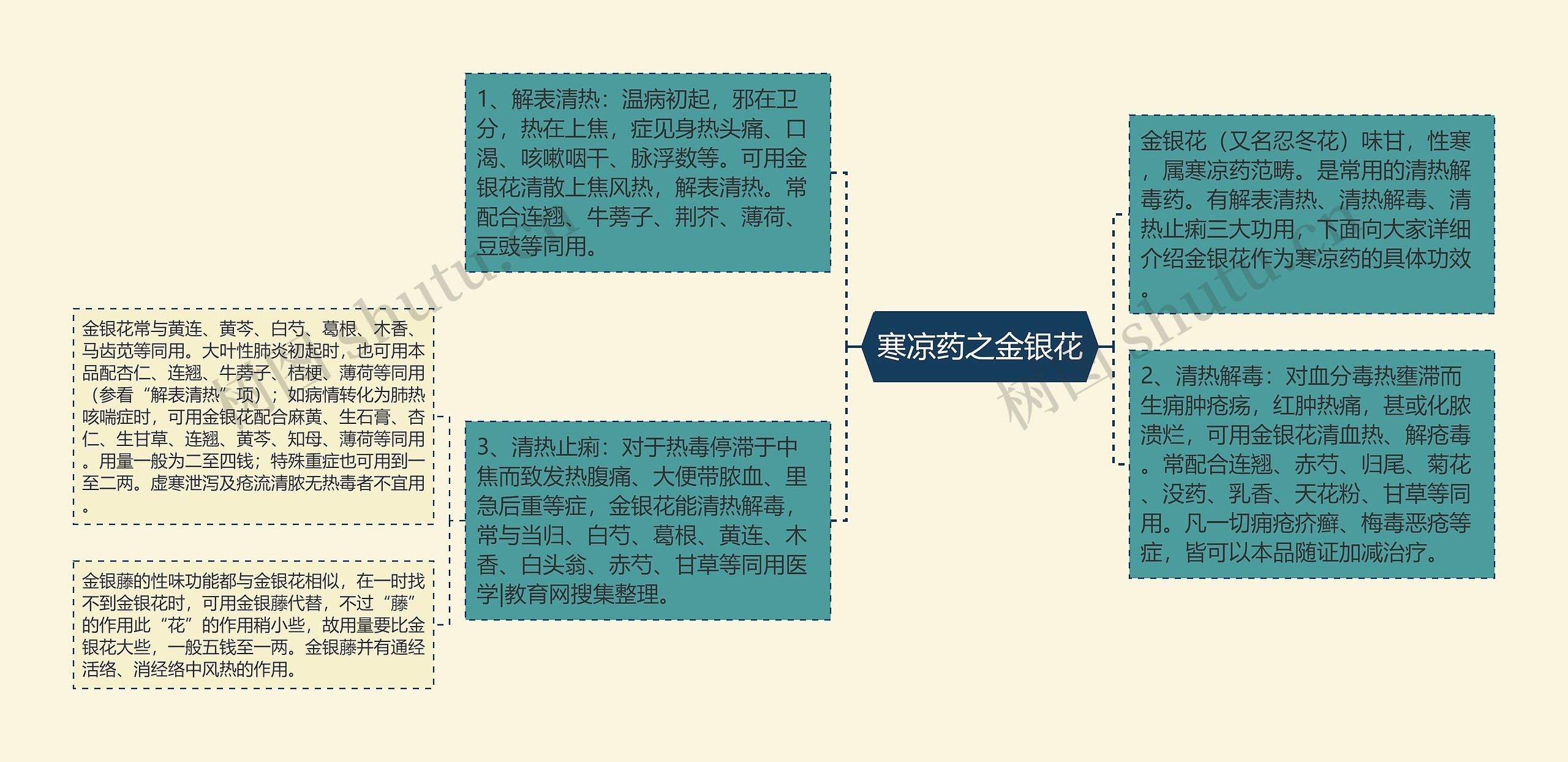 寒凉药之金银花思维导图