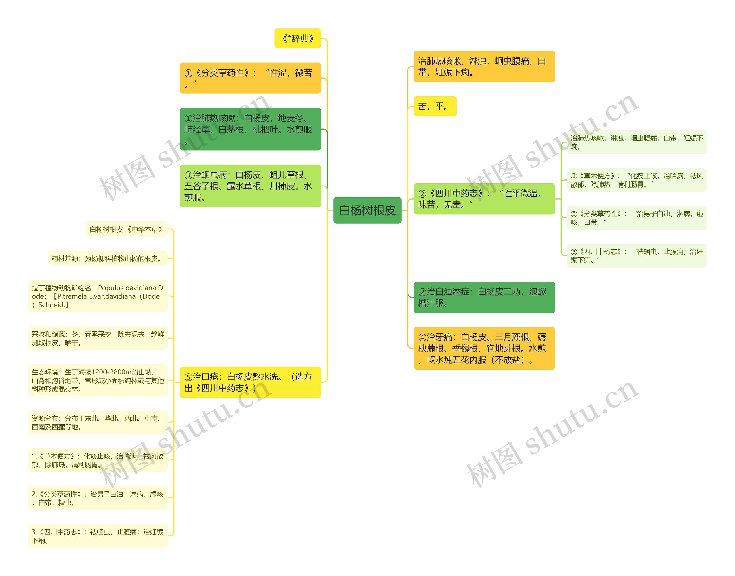 白杨树根皮思维导图