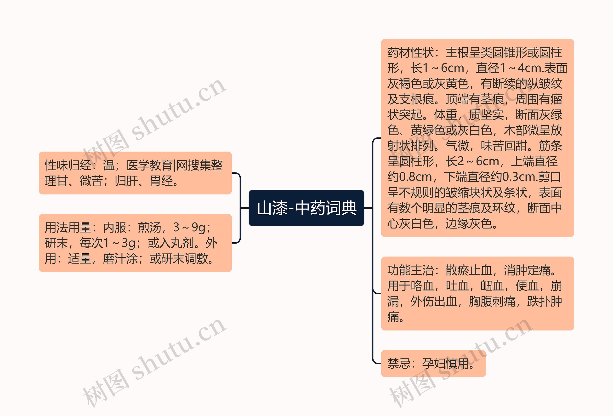 山漆-中药词典思维导图