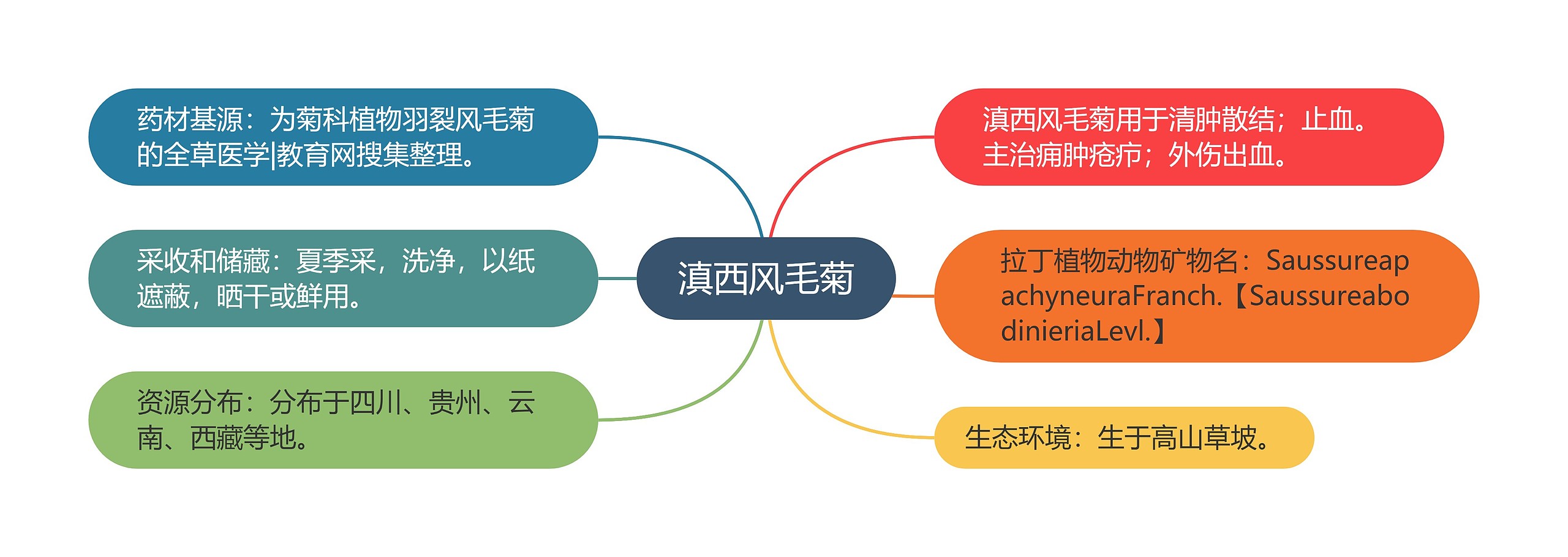 滇西风毛菊思维导图