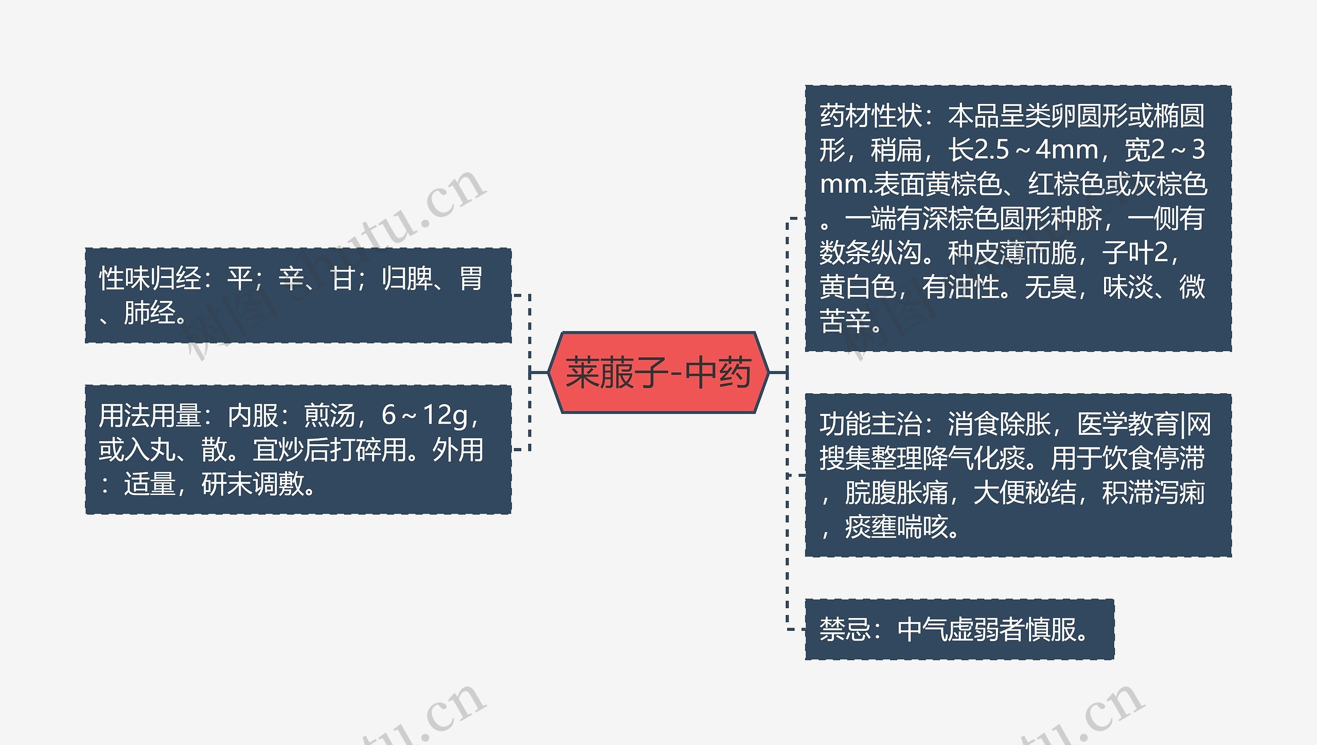 莱菔子-中药思维导图