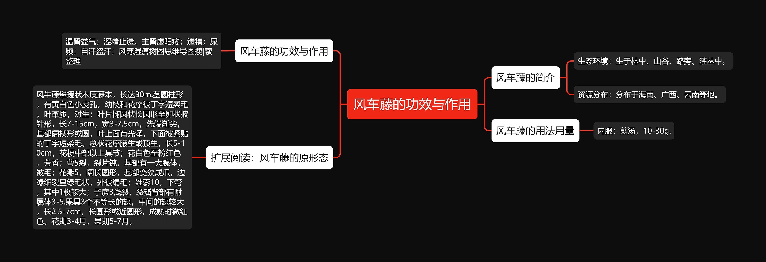 风车藤的功效与作用 风车藤的功效与作用