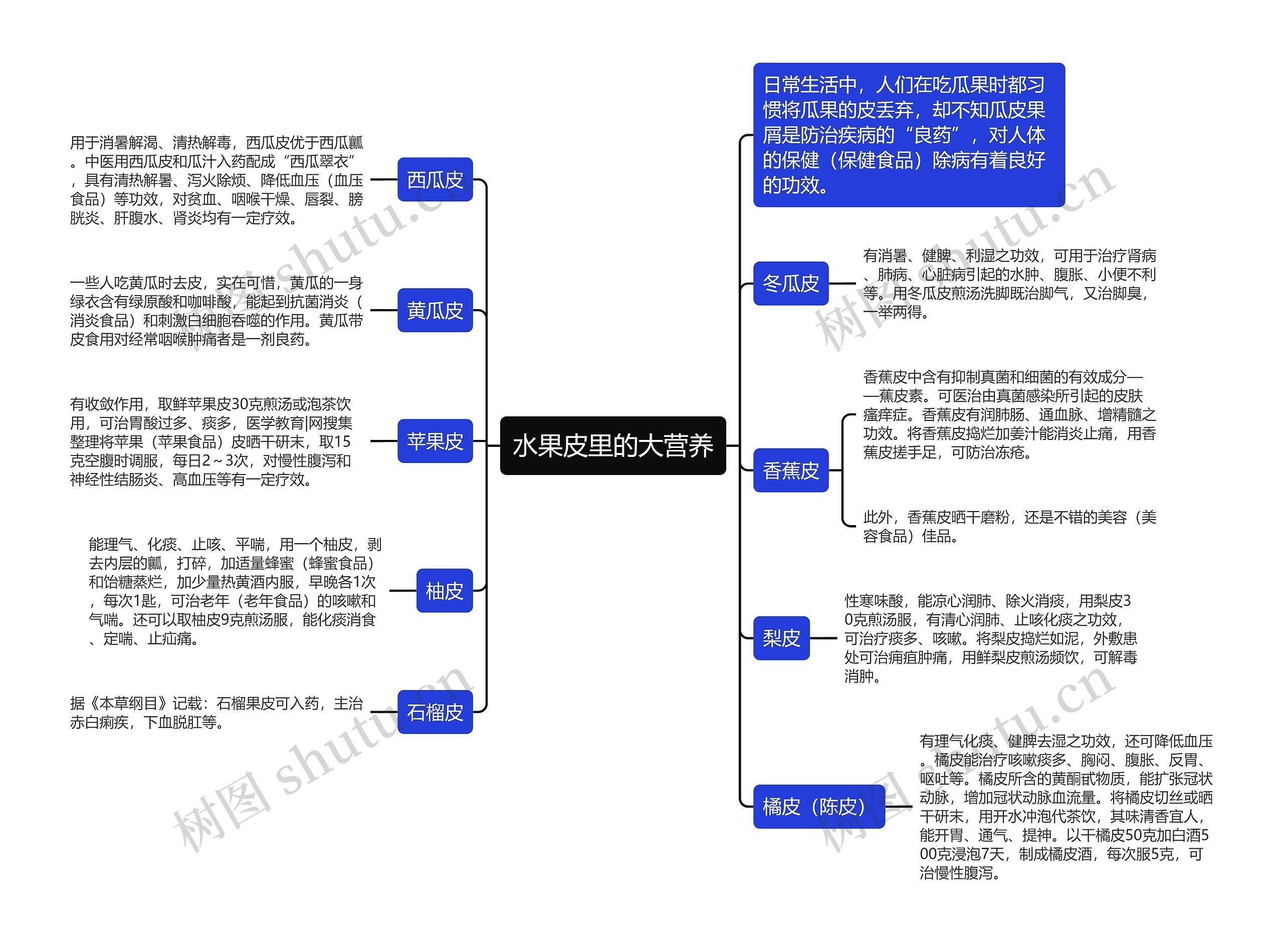 水果皮里的大营养思维导图