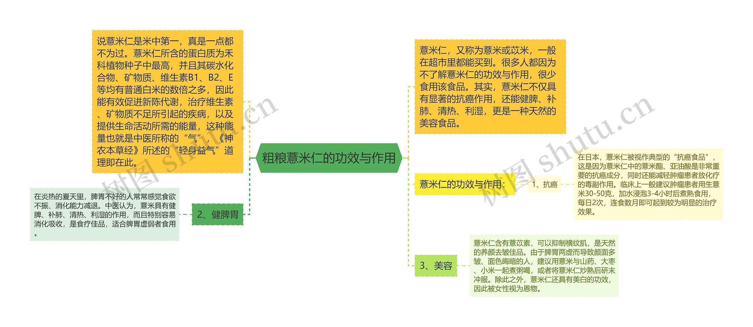 粗粮薏米仁的功效与作用思维导图