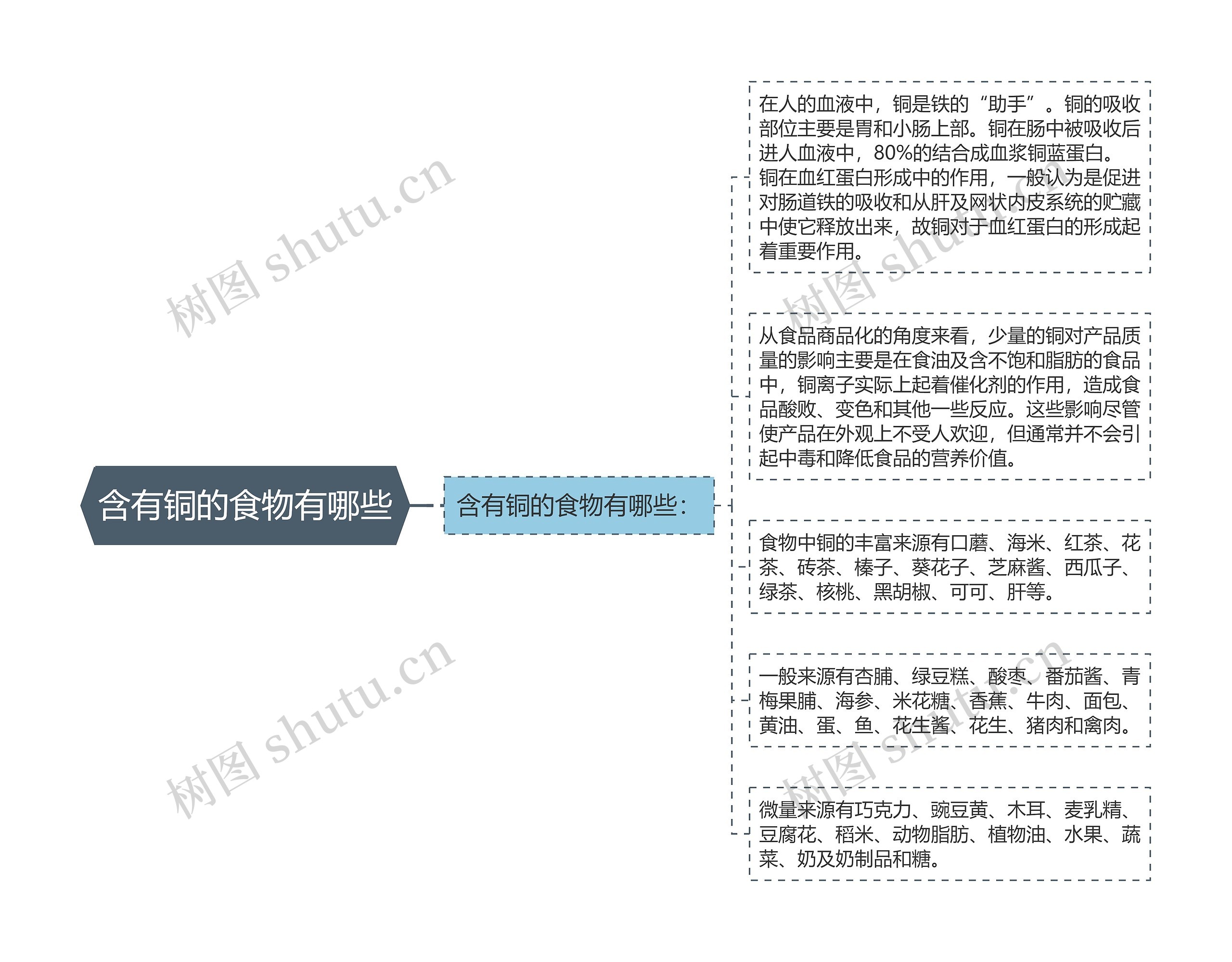 含有铜的食物有哪些思维导图