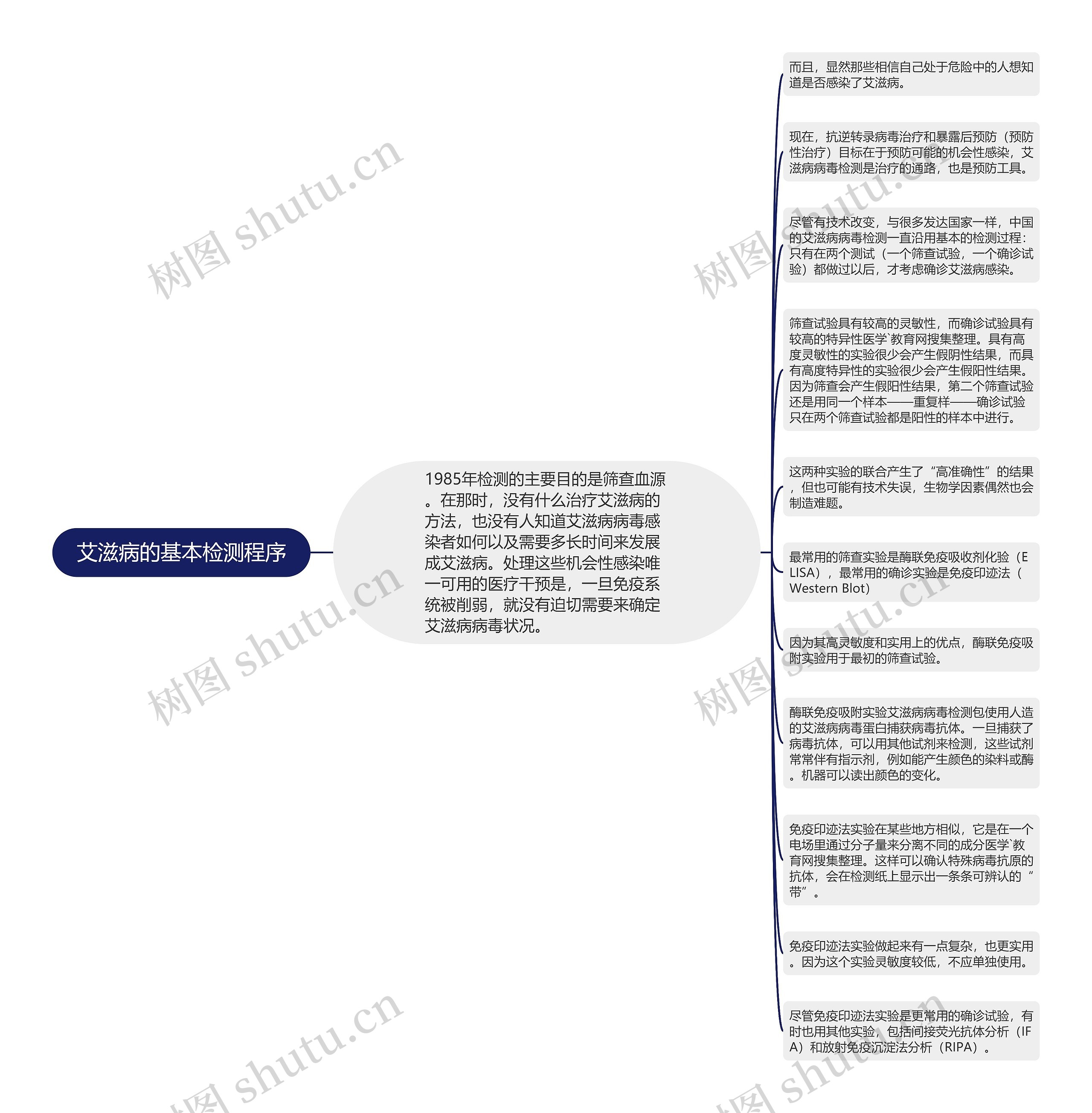 艾滋病的基本检测程序思维导图