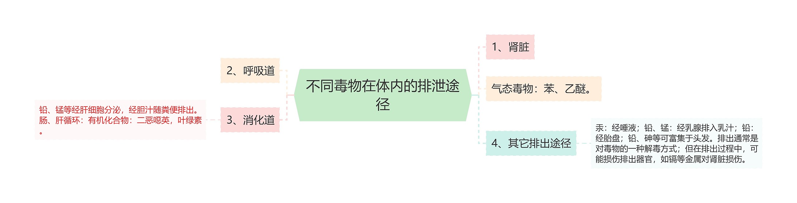 不同毒物在体内的排泄途径