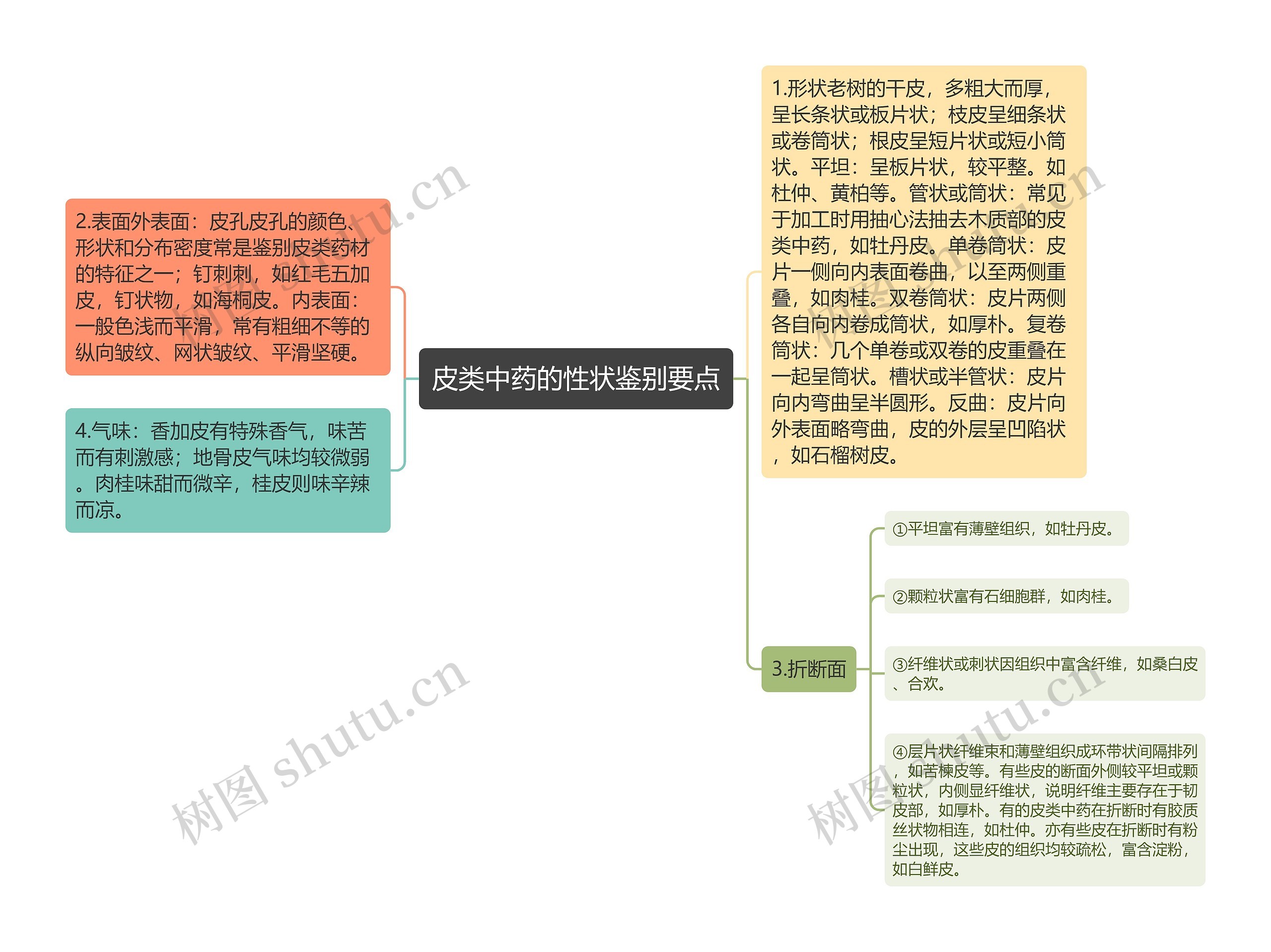 皮类中药的性状鉴别要点思维导图