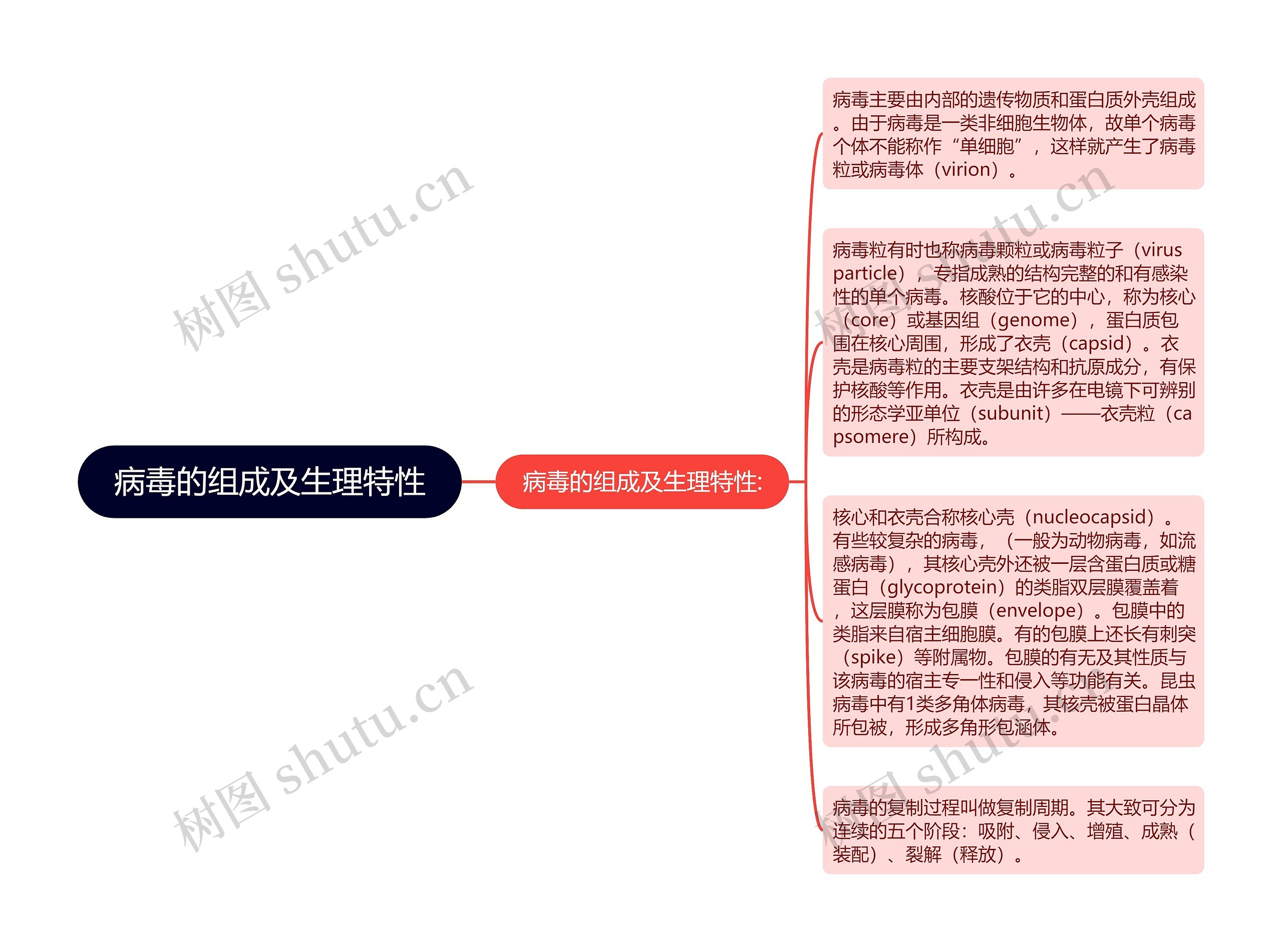 病毒的组成及生理特性思维导图