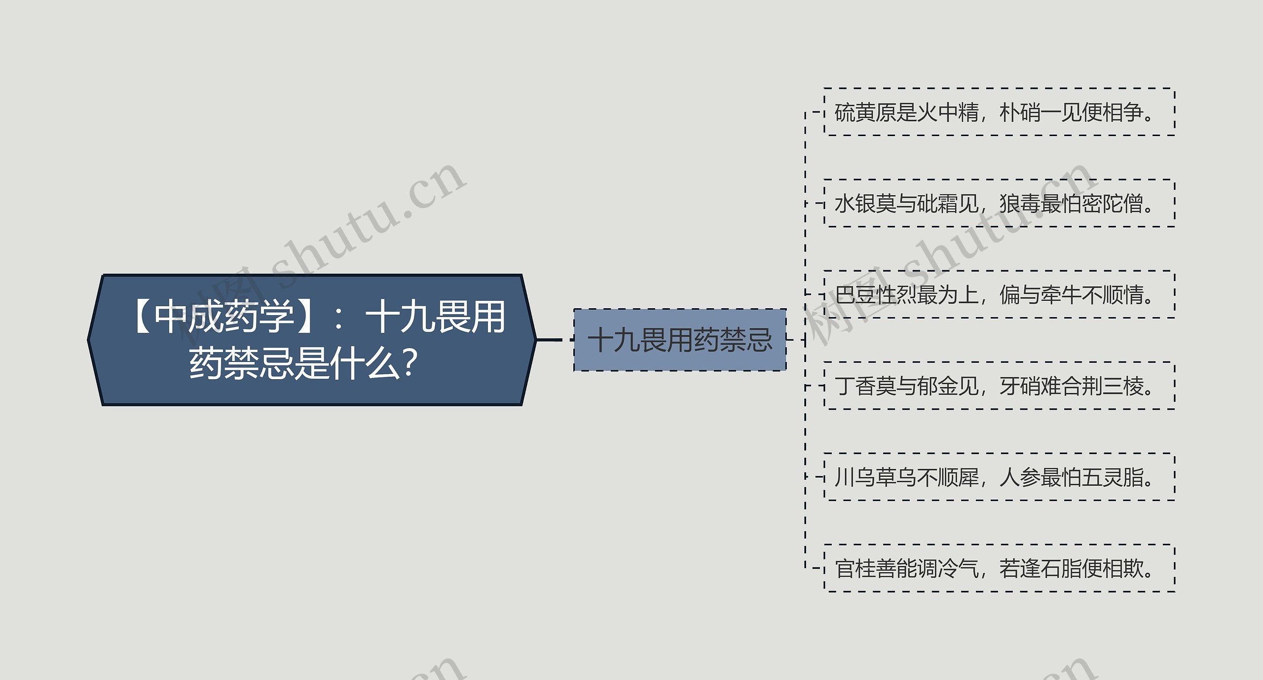 【中成药学】：十九畏用药禁忌是什么？思维导图