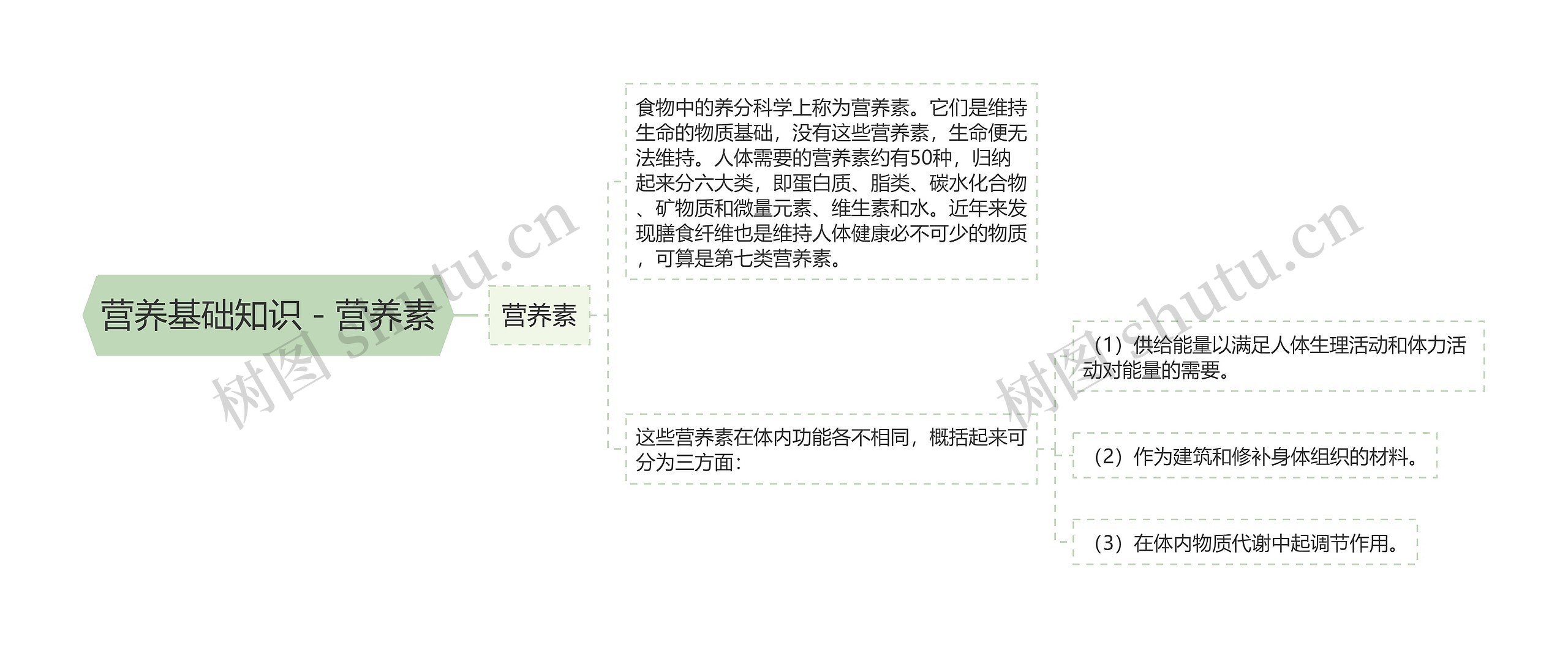 营养基础知识－营养素思维导图