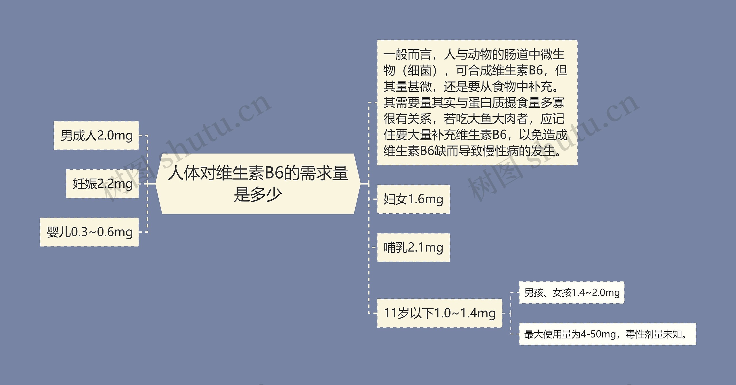 人体对维生素B6的需求量是多少