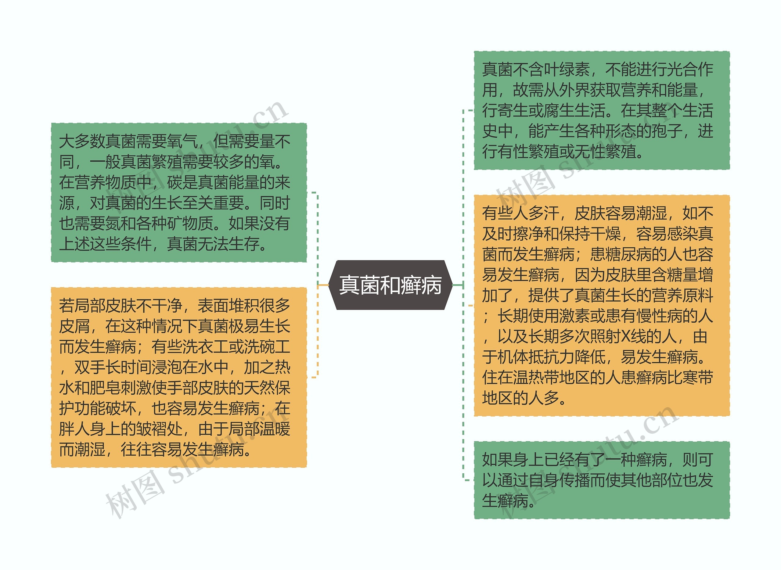 真菌和癣病思维导图