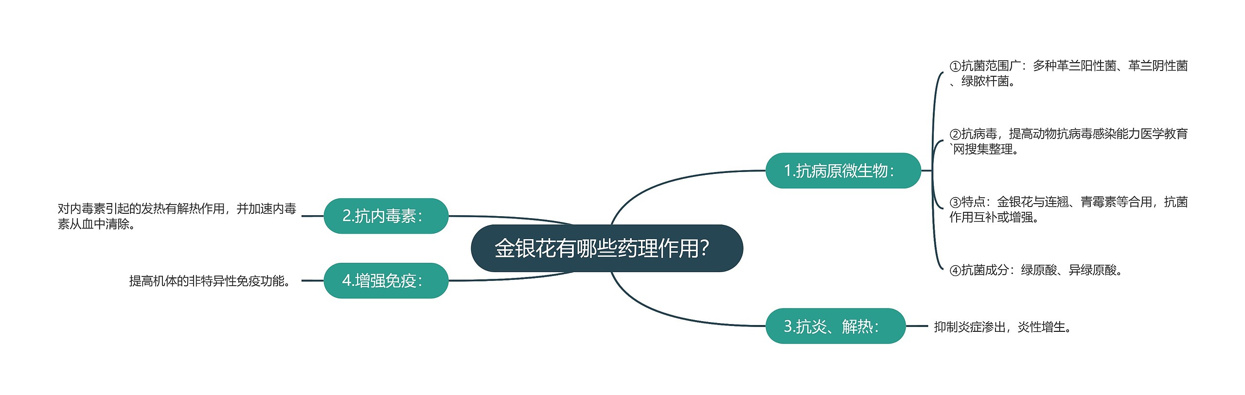 金银花有哪些药理作用？思维导图