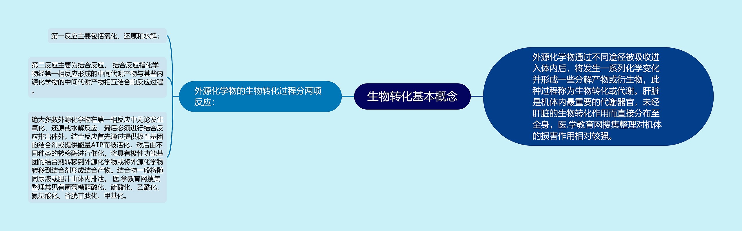 生物转化基本概念思维导图高清图 生物转化基本概念思维导图