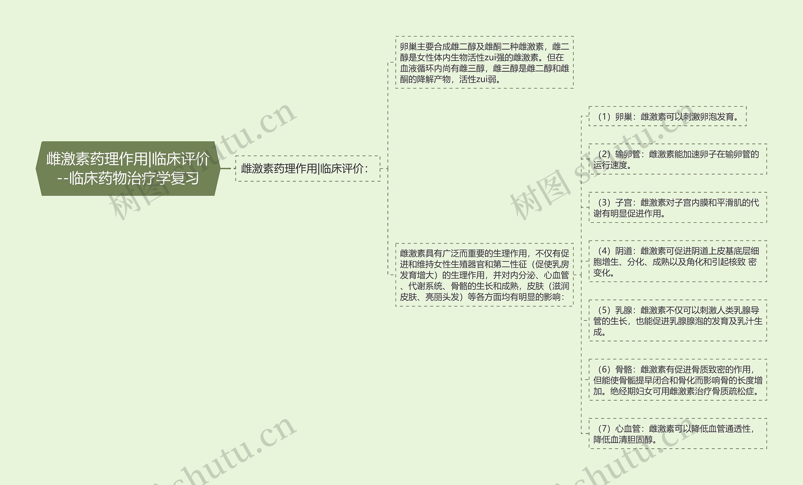 雌激素药理作用|临床评价--临床药物治疗学复习思维导图