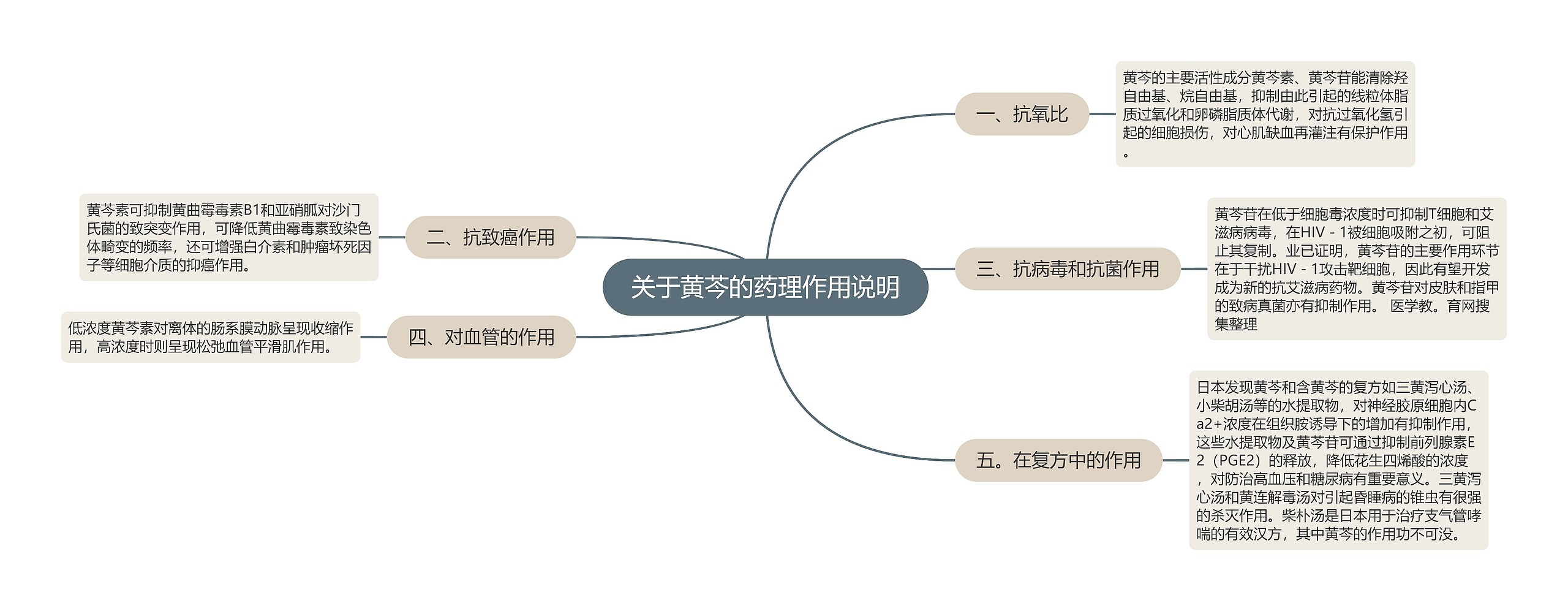 关于黄芩的药理作用说明思维导图