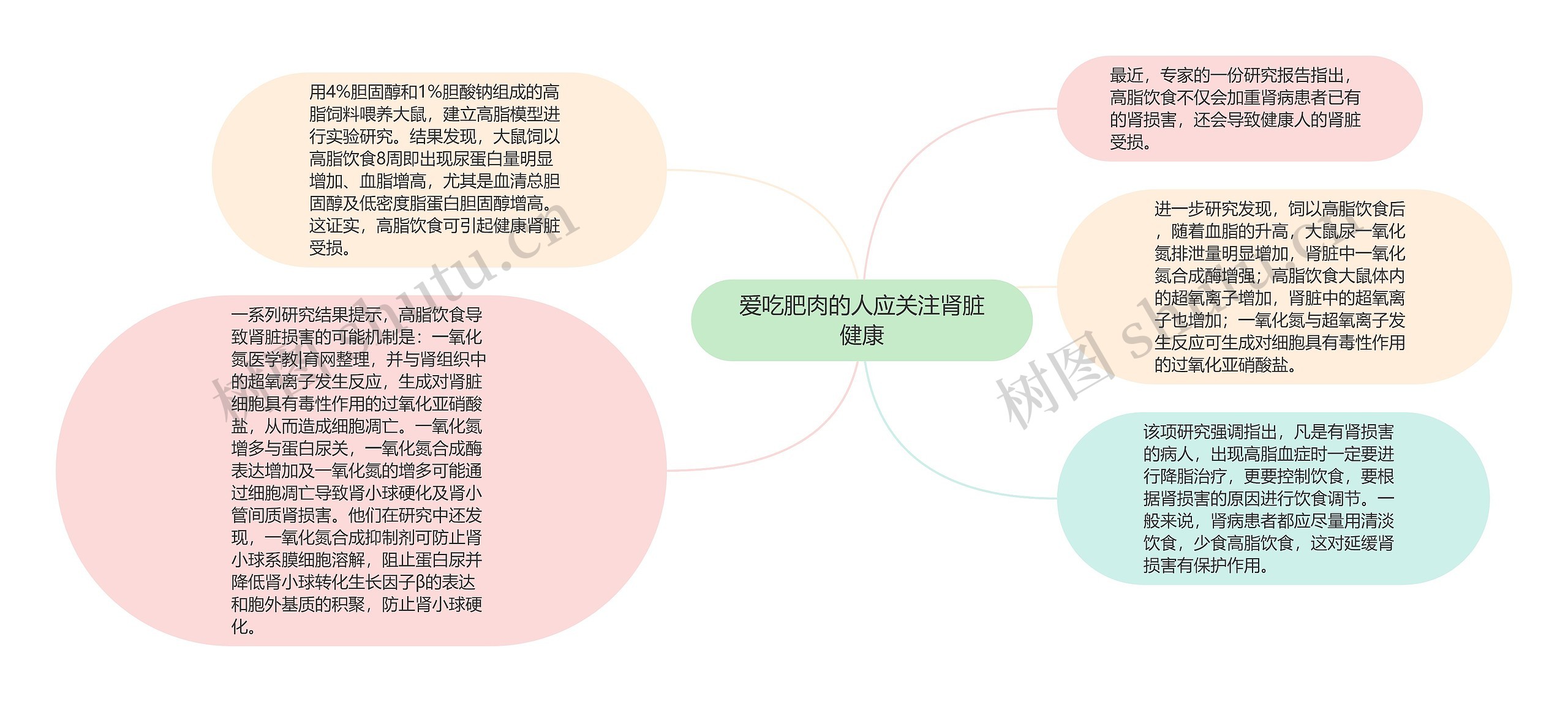 爱吃肥肉的人应关注肾脏健康