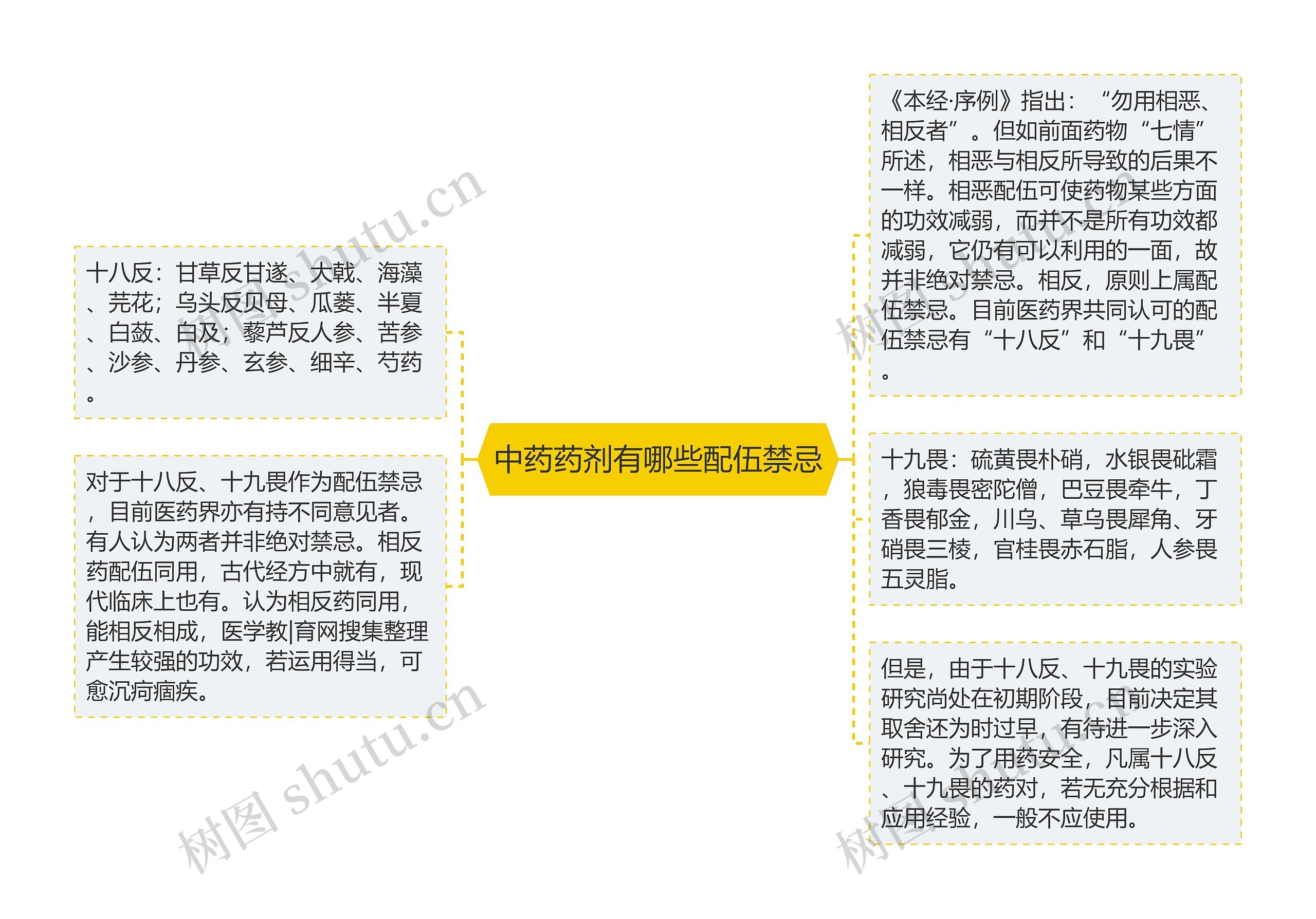 中药药剂有哪些配伍禁忌思维导图