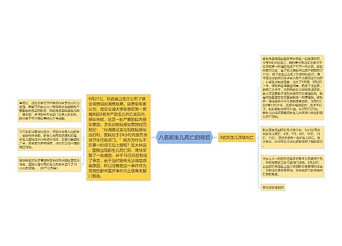 八名新生儿死亡的背后