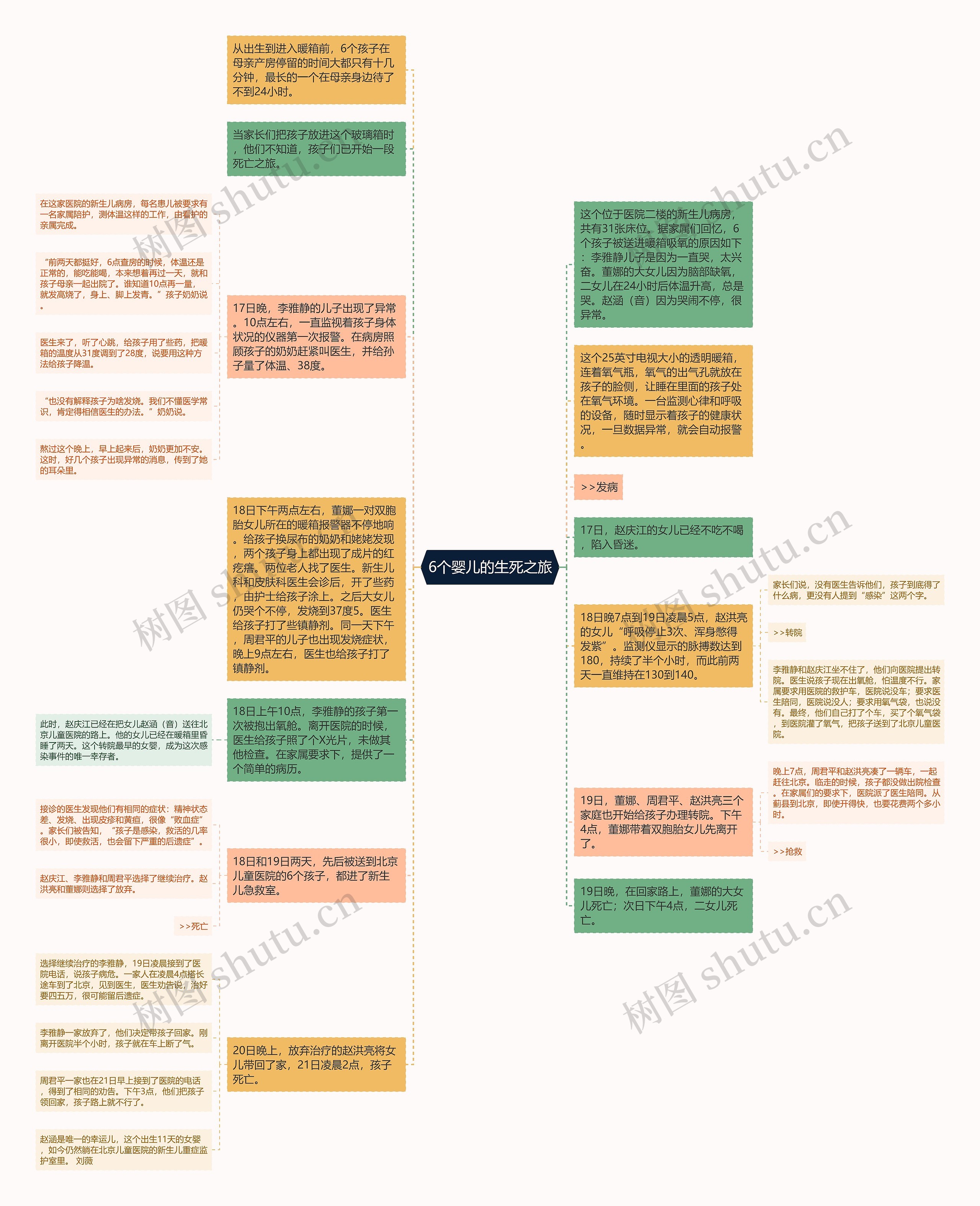 6个婴儿的生死之旅思维导图