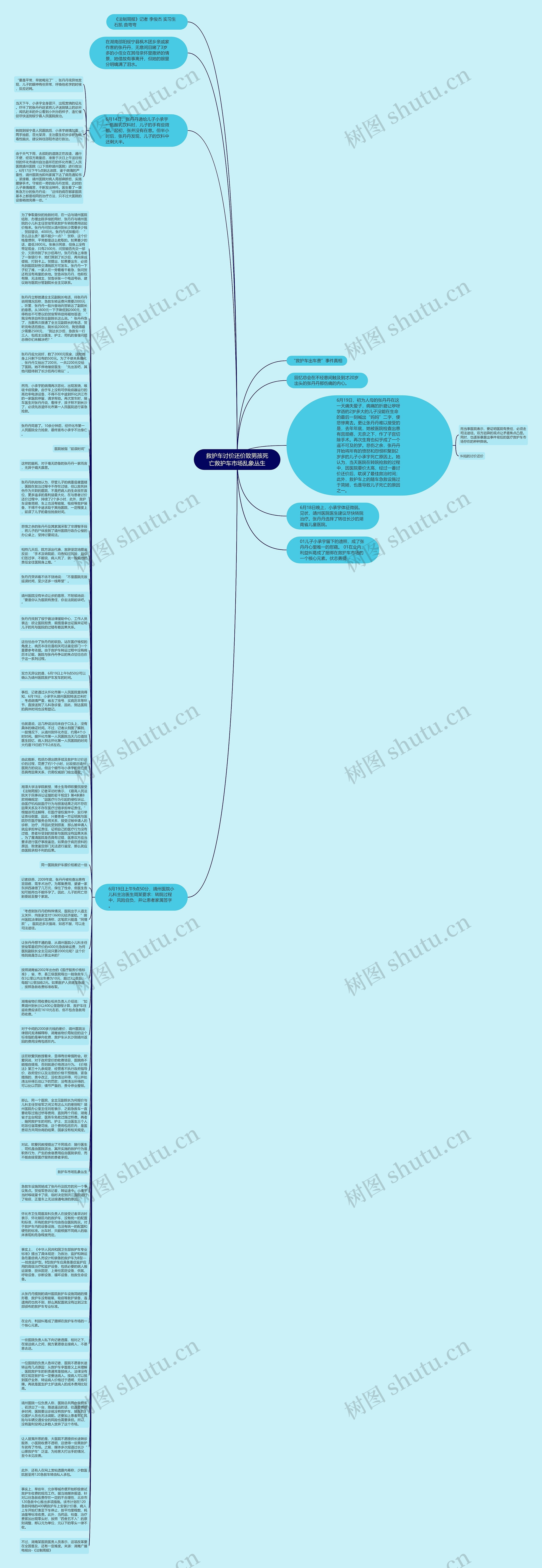 救护车讨价还价致男孩死亡救护车市场乱象丛生思维导图