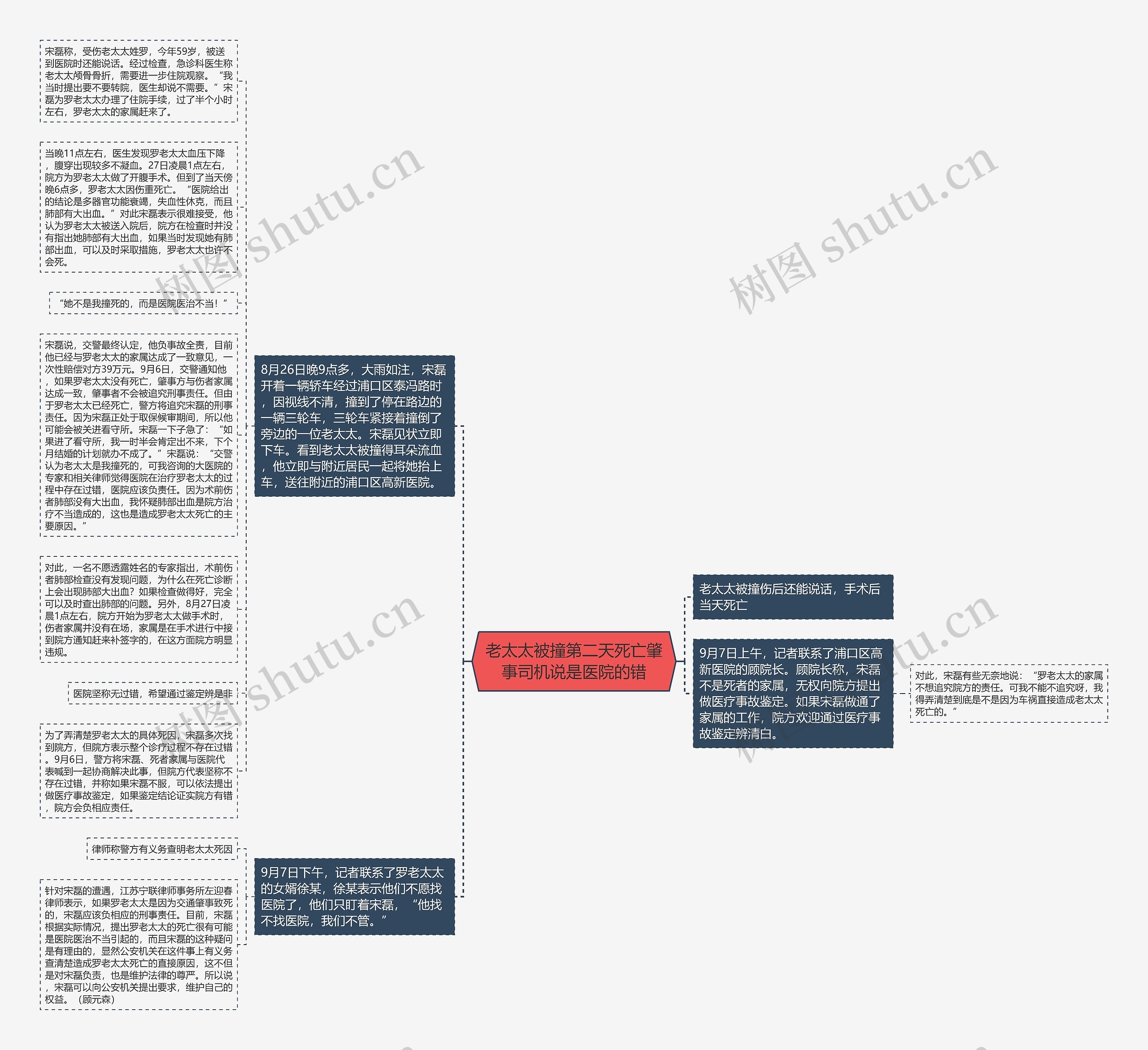 老太太被撞第二天死亡肇事司机说是医院的错思维导图