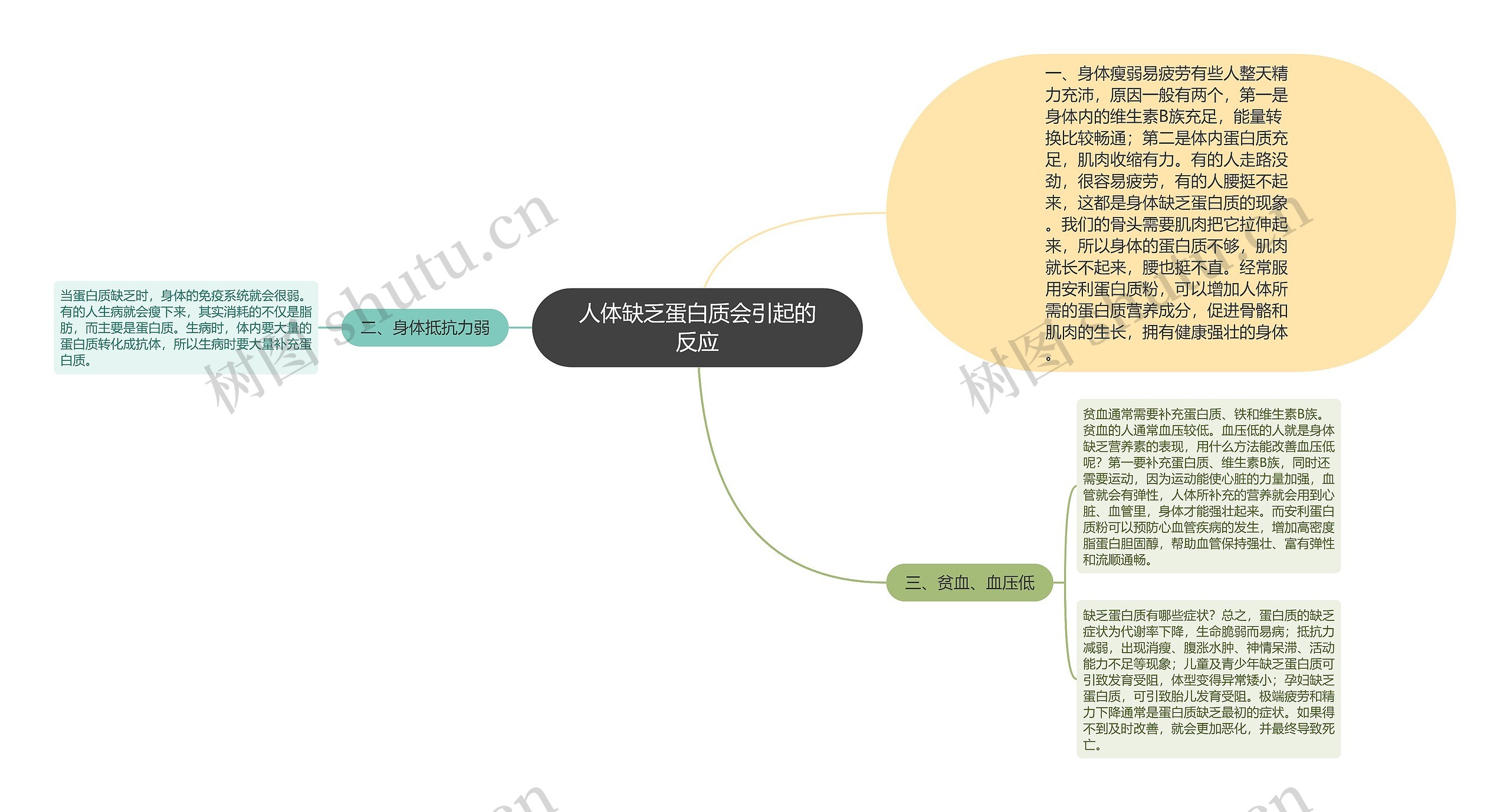 人体缺乏蛋白质会引起的反应思维导图